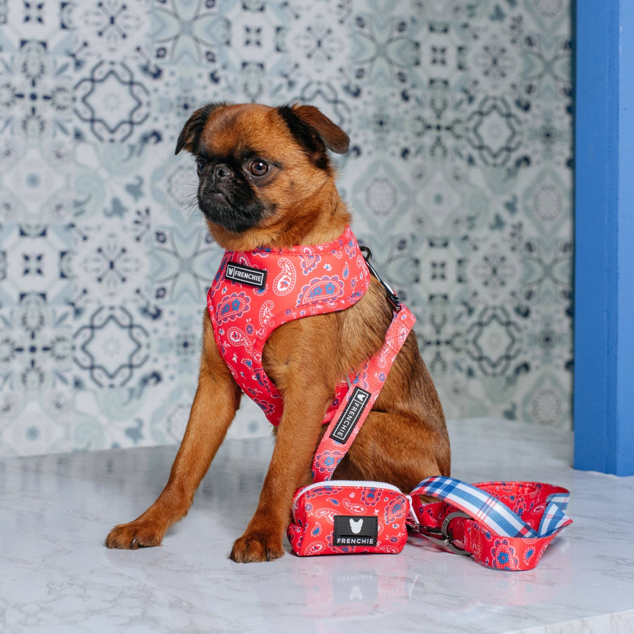 Frenchie - Frenchie Duo Reversible Harness - Red, White, and Paisley: L