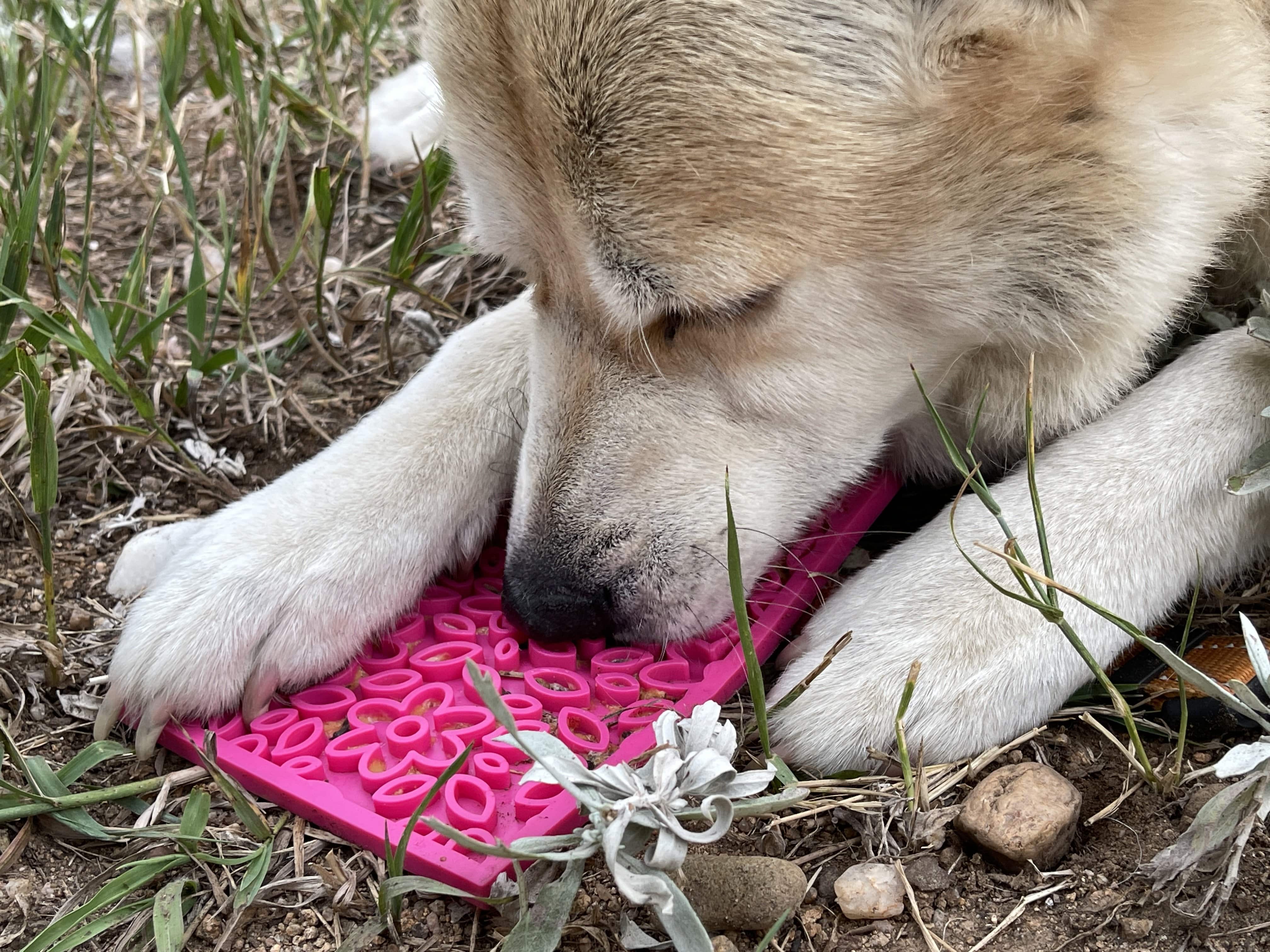 SodaPup Dog Toys - Flower Power Design eMat Enrichment Lick Mat - Pink: Flower Power E-Mat - small pink