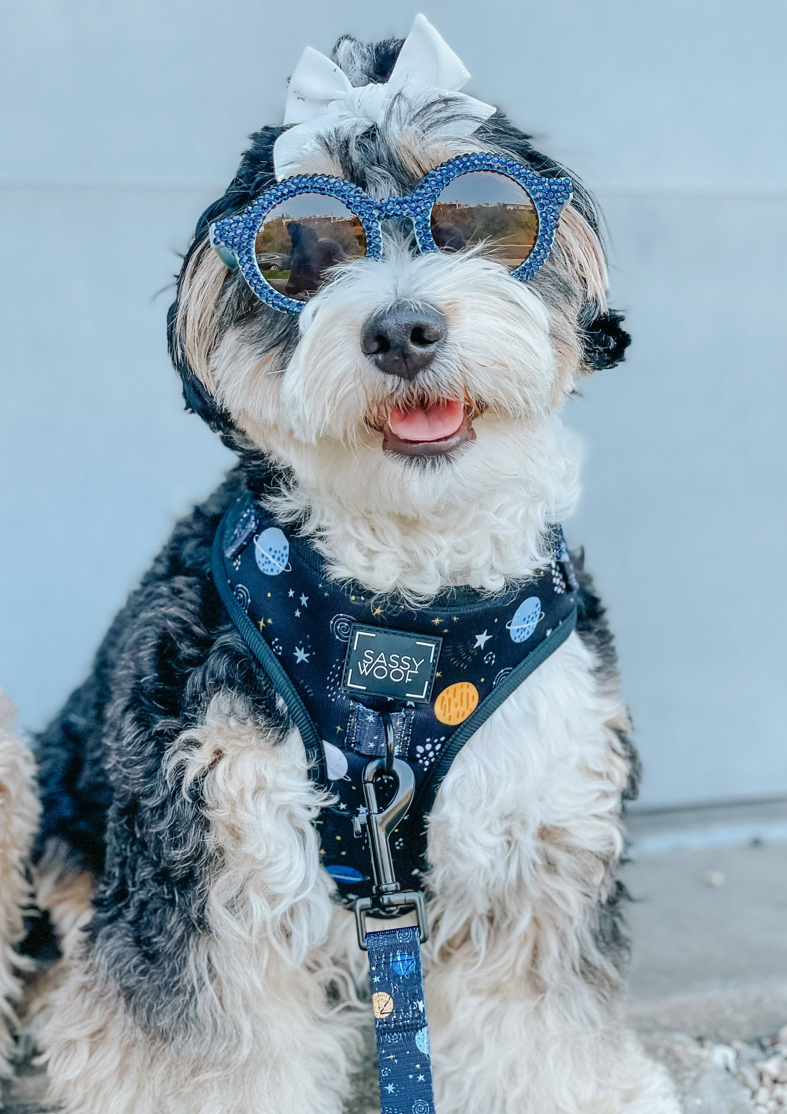 SASSY WOOF - Dog Adjustable Harness - To the Stars and Beyond: Large