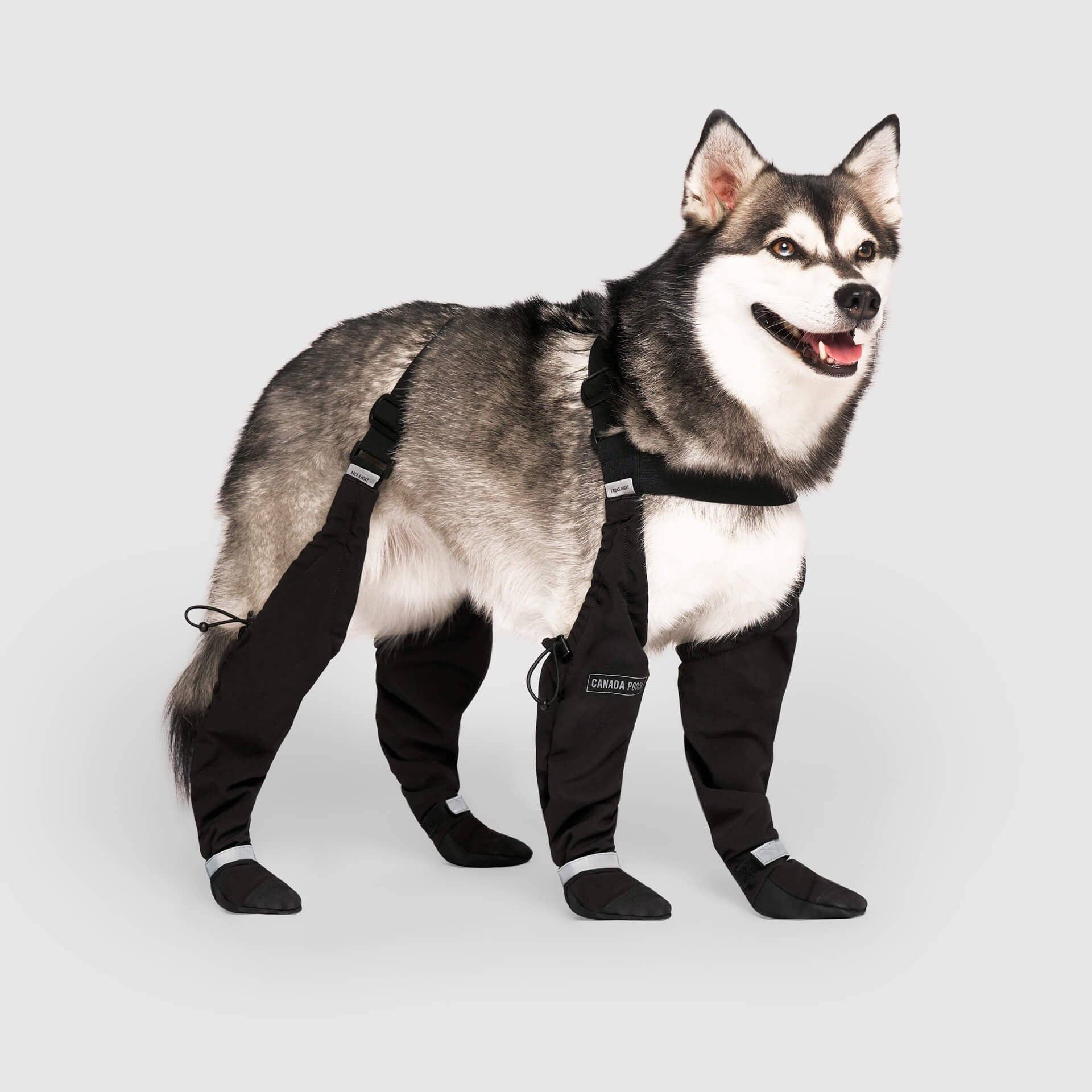 Canada Pooch - Suspender Boots- Dog Boots: Black / 3