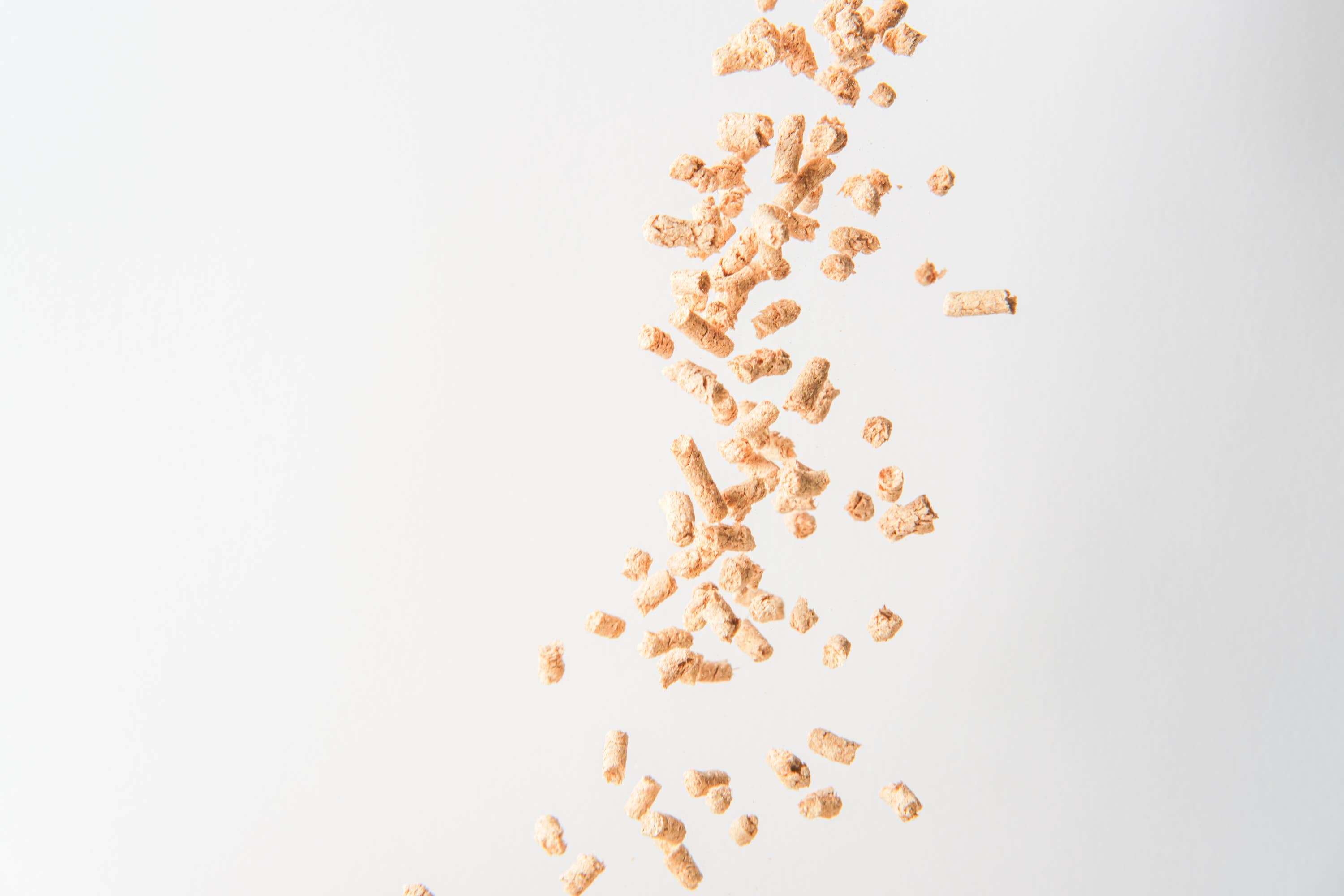 Kocho Hinoki Cat Litter