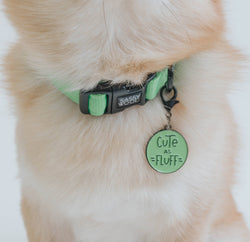 SASSY WOOF - Dog Collar - Neon Green: S