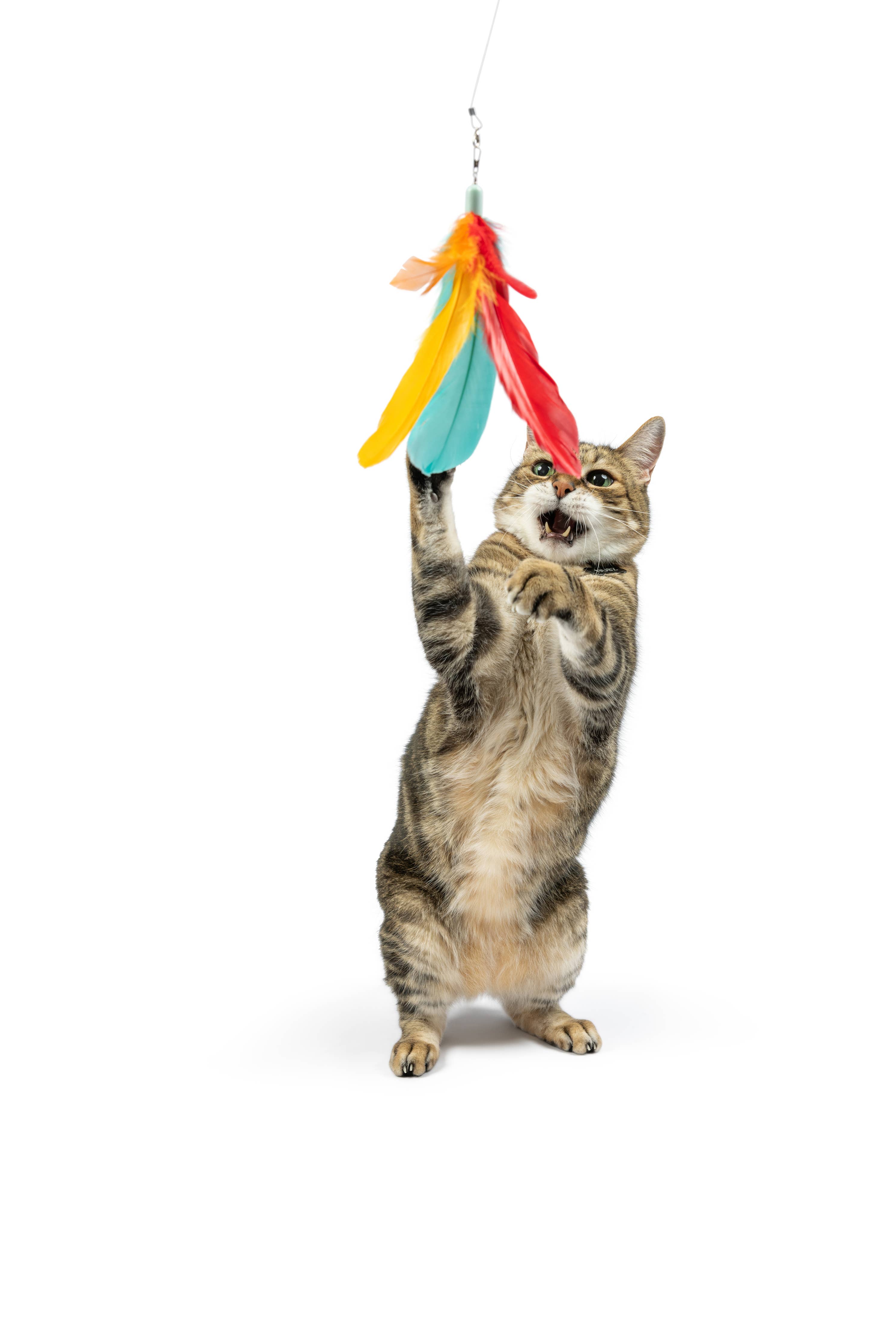 Huxley & Kent - Teaser Treatos Snacks Wand Cat Toy: One Size