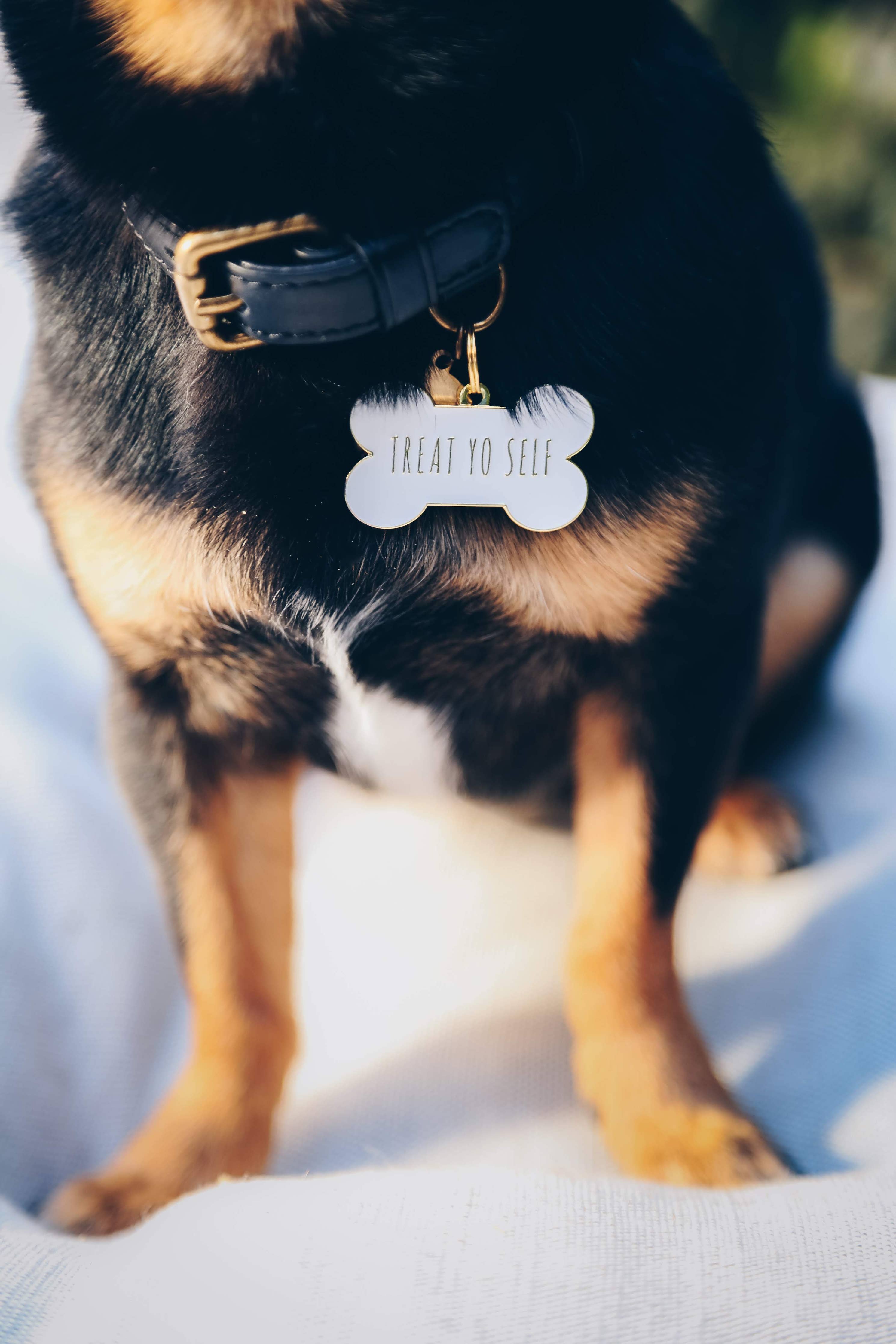 Treat Yo Self Pet ID Tag: Black