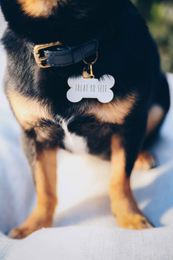 Treat Yo Self Pet ID Tag: Black