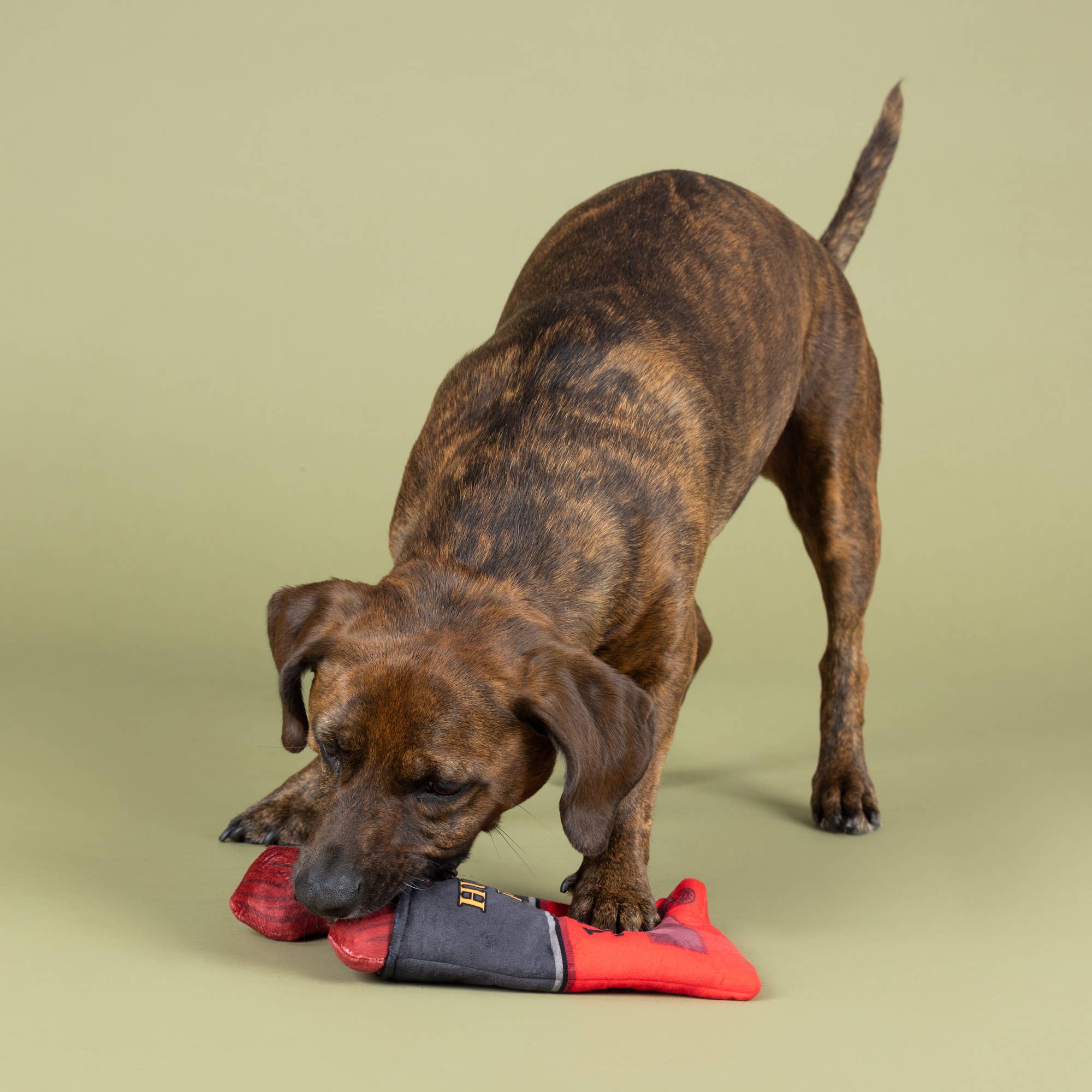 Wagsdale - SNACK ATTACK HIDE & SEEK PLUSH DOG TOY