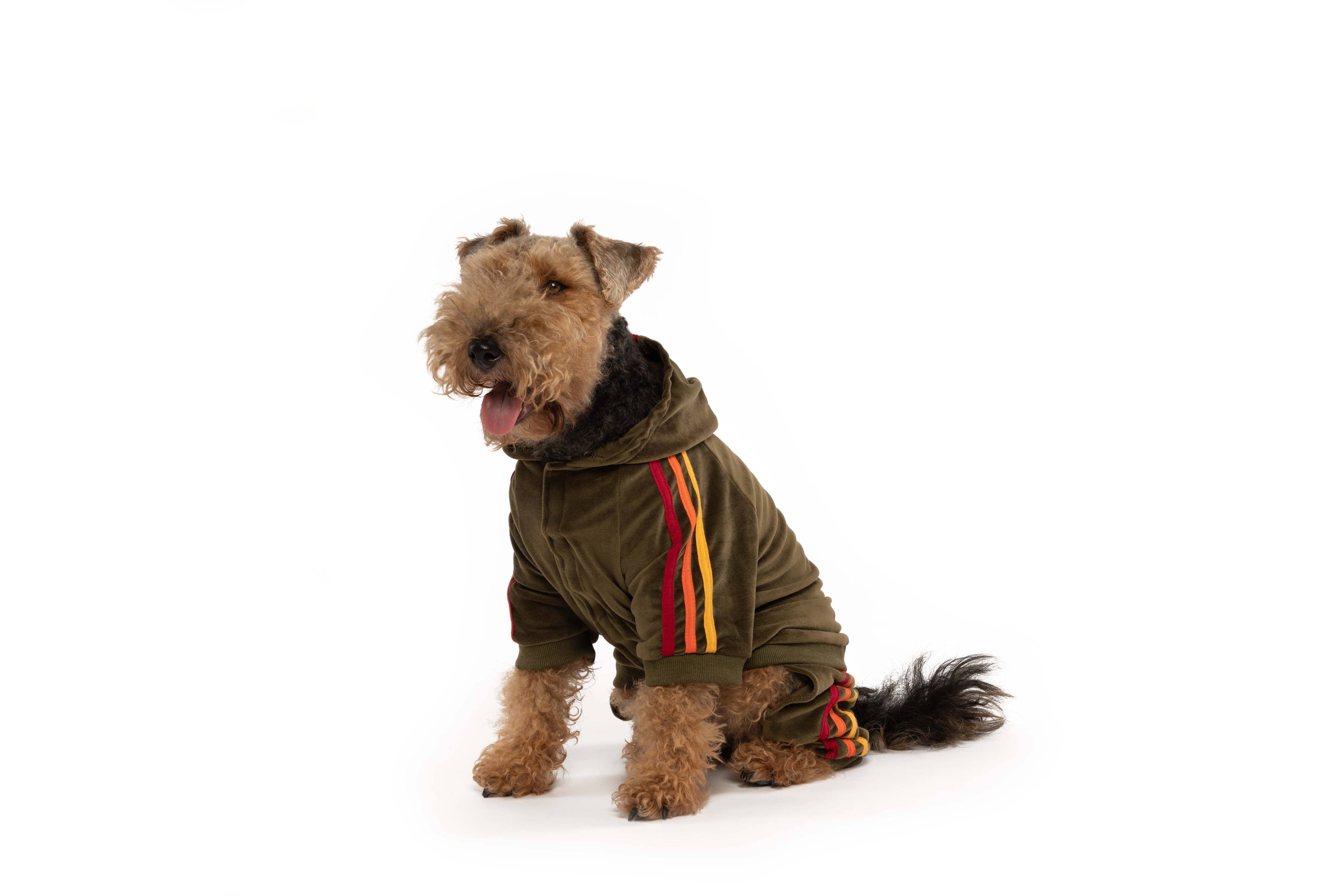 Olive Velour Dog Jogger: 10