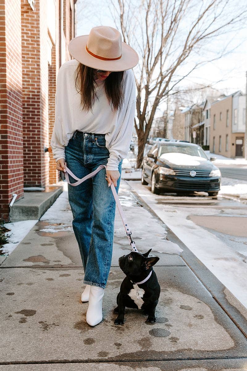 The Modern Dog Company - Blush Pink Collar (Weather + Odor Resistant): X-Small