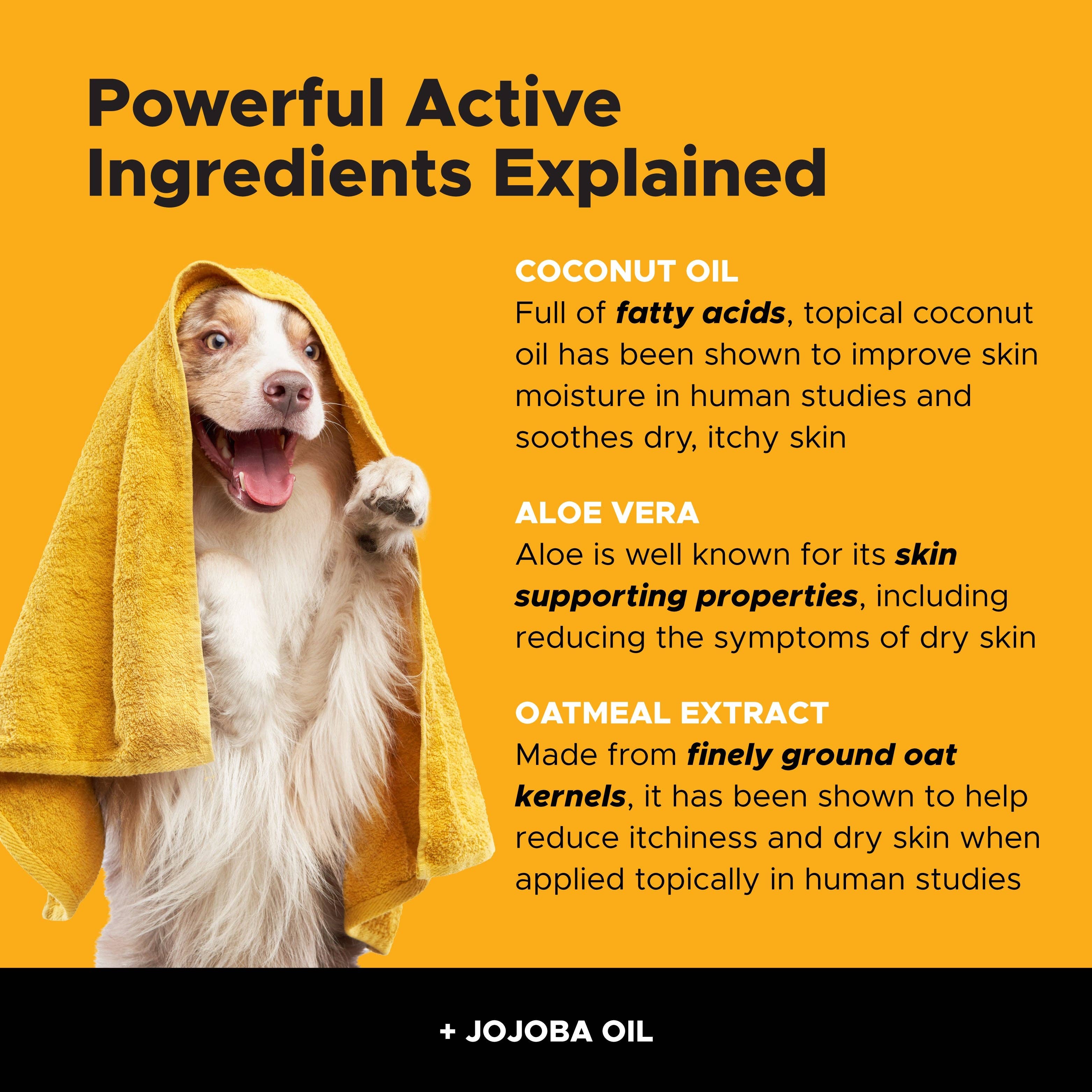 Pet Honesty - Allergy Anti-Itch Shampoo (16 Ounce)