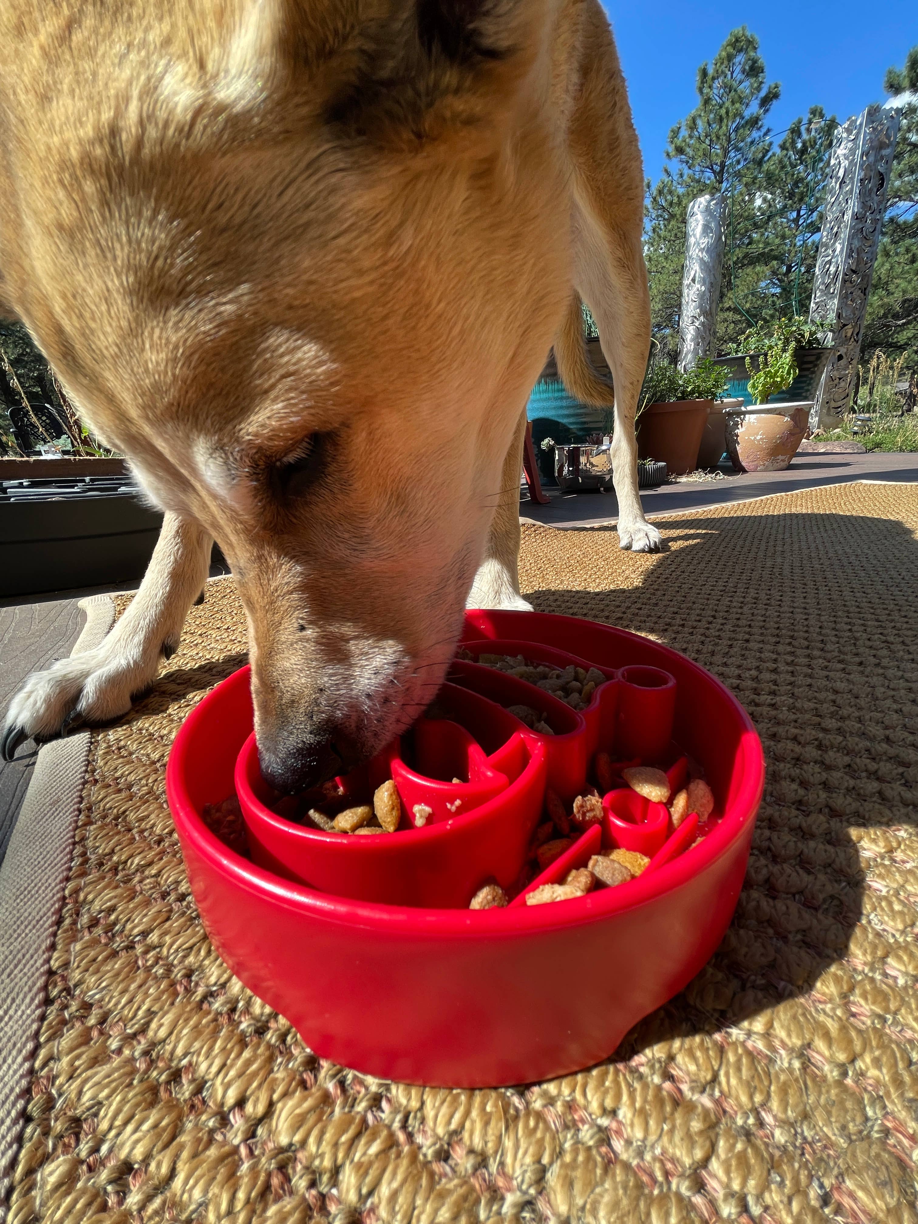 SodaPup Dog Toys - Santa Design eBowl Enrichment Slow Feeder Bowl for Dogs: Santa eBowl - red