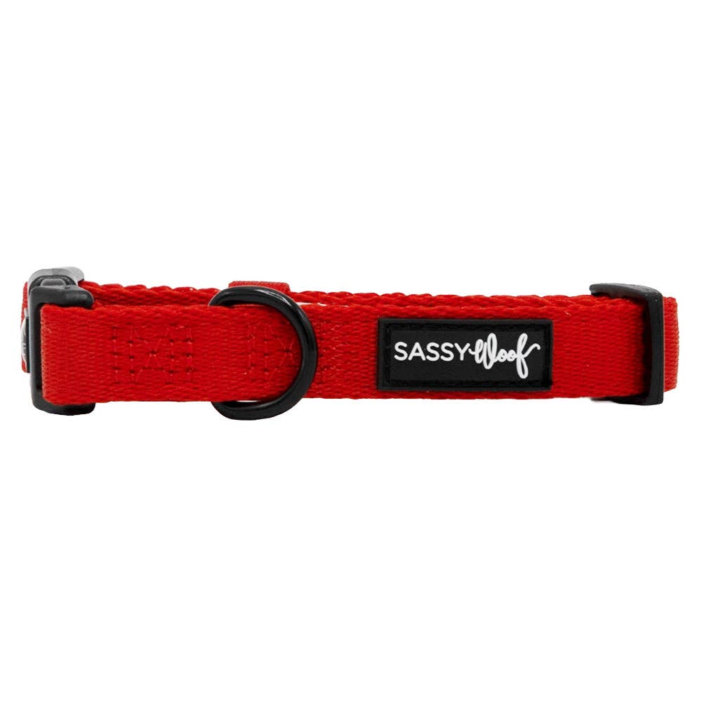 SASSY WOOF - Dog Collar - Neon Red: Large