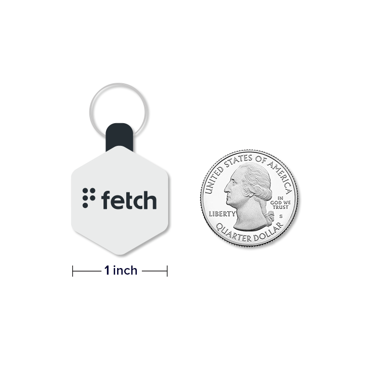 Lifekey Mini Smart Pet Tag Concrete Jungle