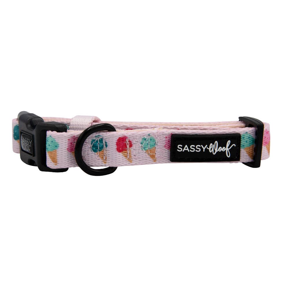 SASSY WOOF - Dog Collar - A Sprinkle of Sass: XSmall