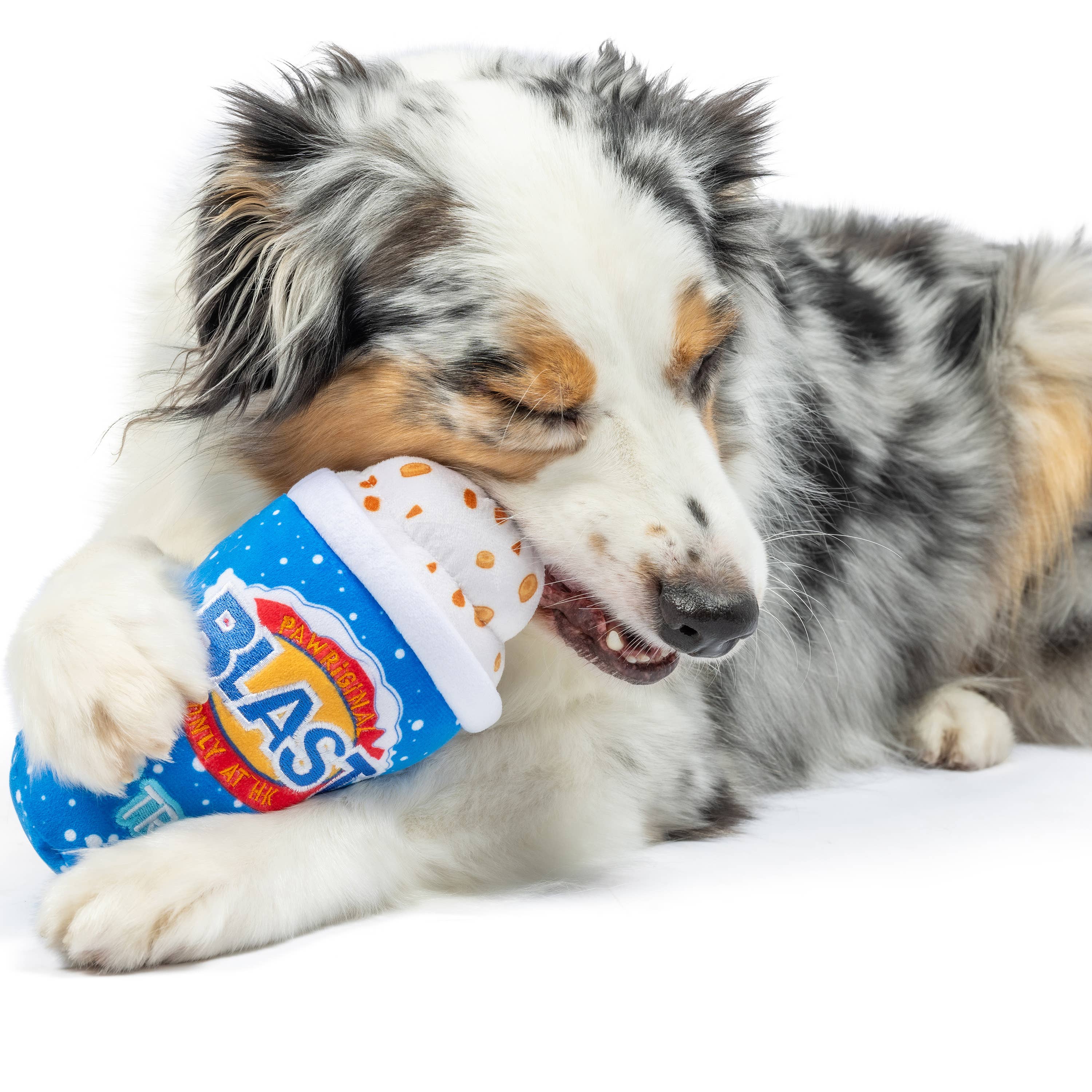 Huxley & Kent - Arctic Blast Treat Dog Toy (Double Sided): Small