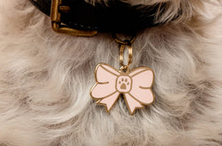 Bow Pet ID Tag