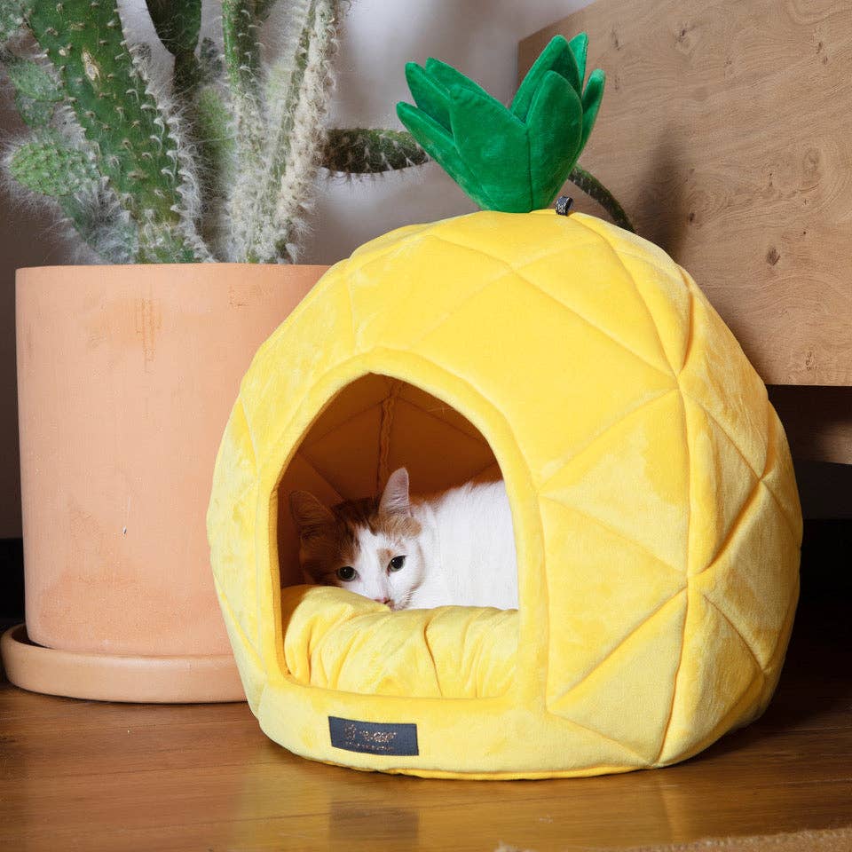 PINEAPPLE DOG BED / CAT HUT - LARGE