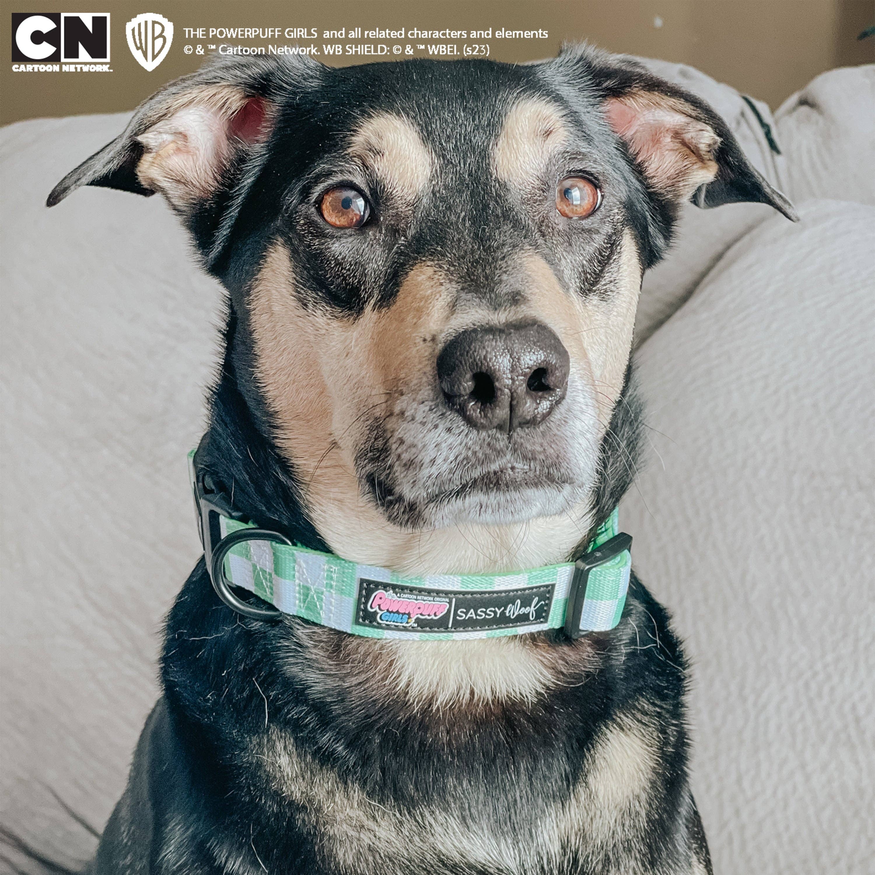 SASSY WOOF - Dog Collar - The Powerpuff Girls™ (Green): Small