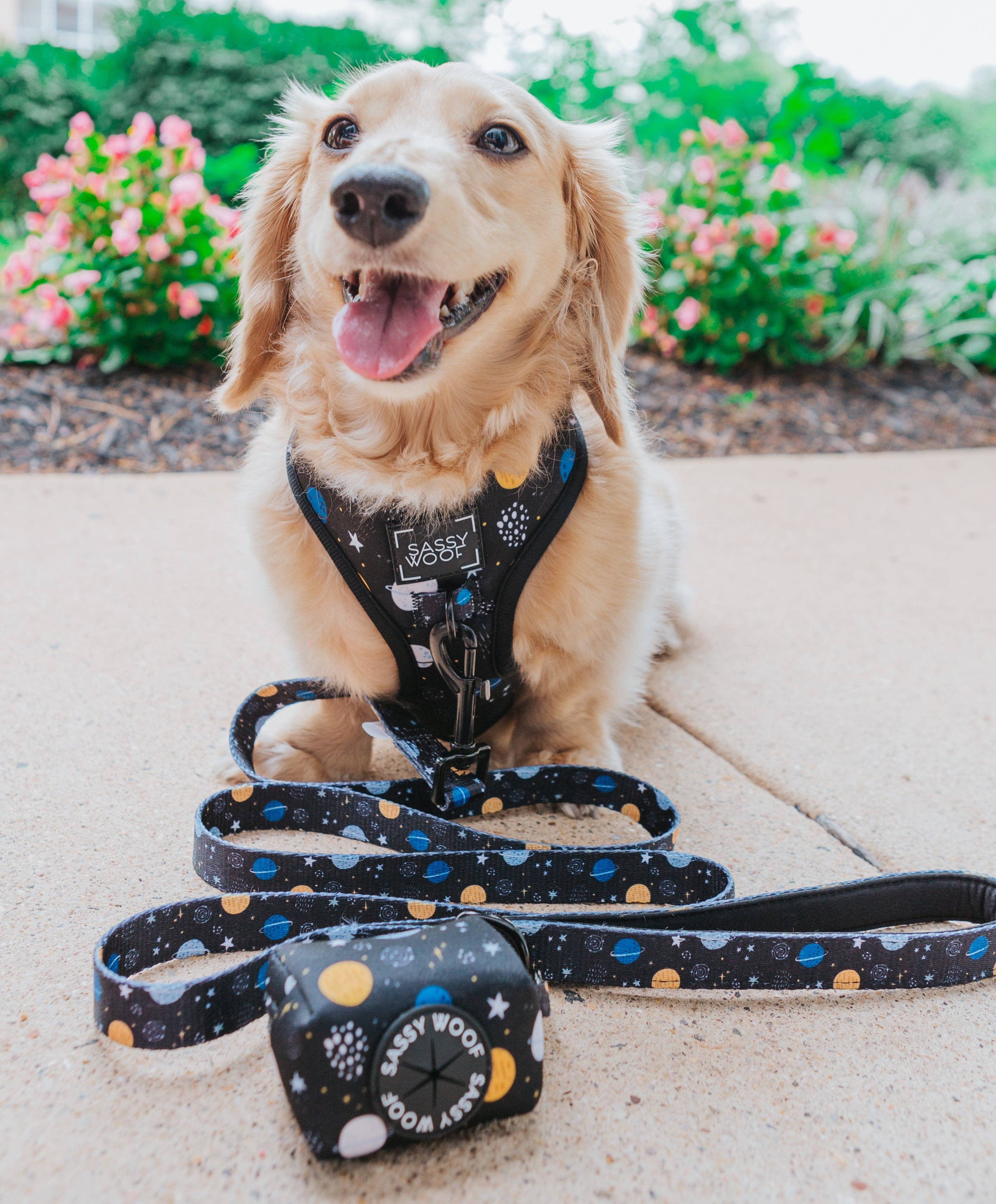 SASSY WOOF - Dog Leash - To the Stars and Beyond