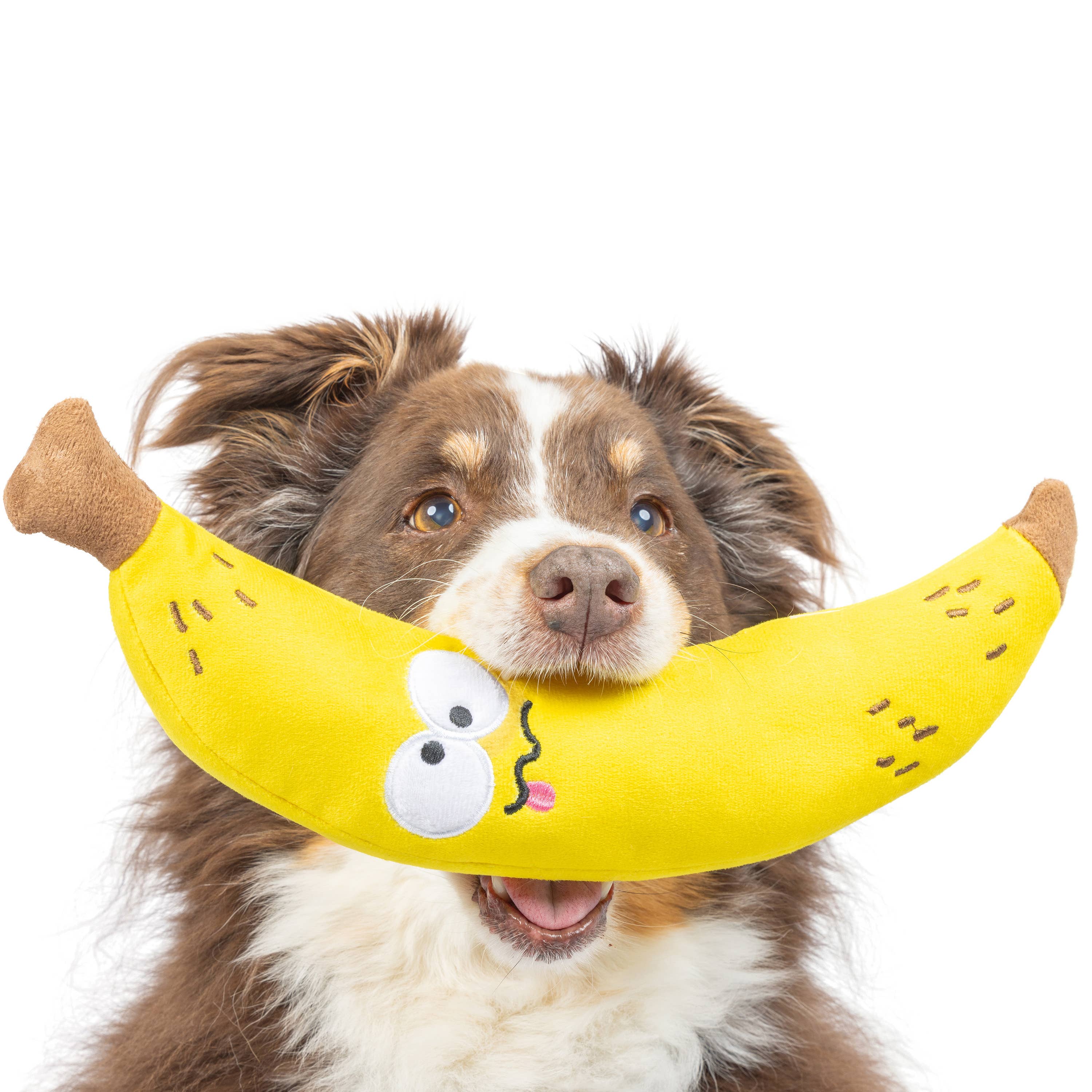Huxley & Kent - Fetchies® Bruiser Banana Dog Toy: Small