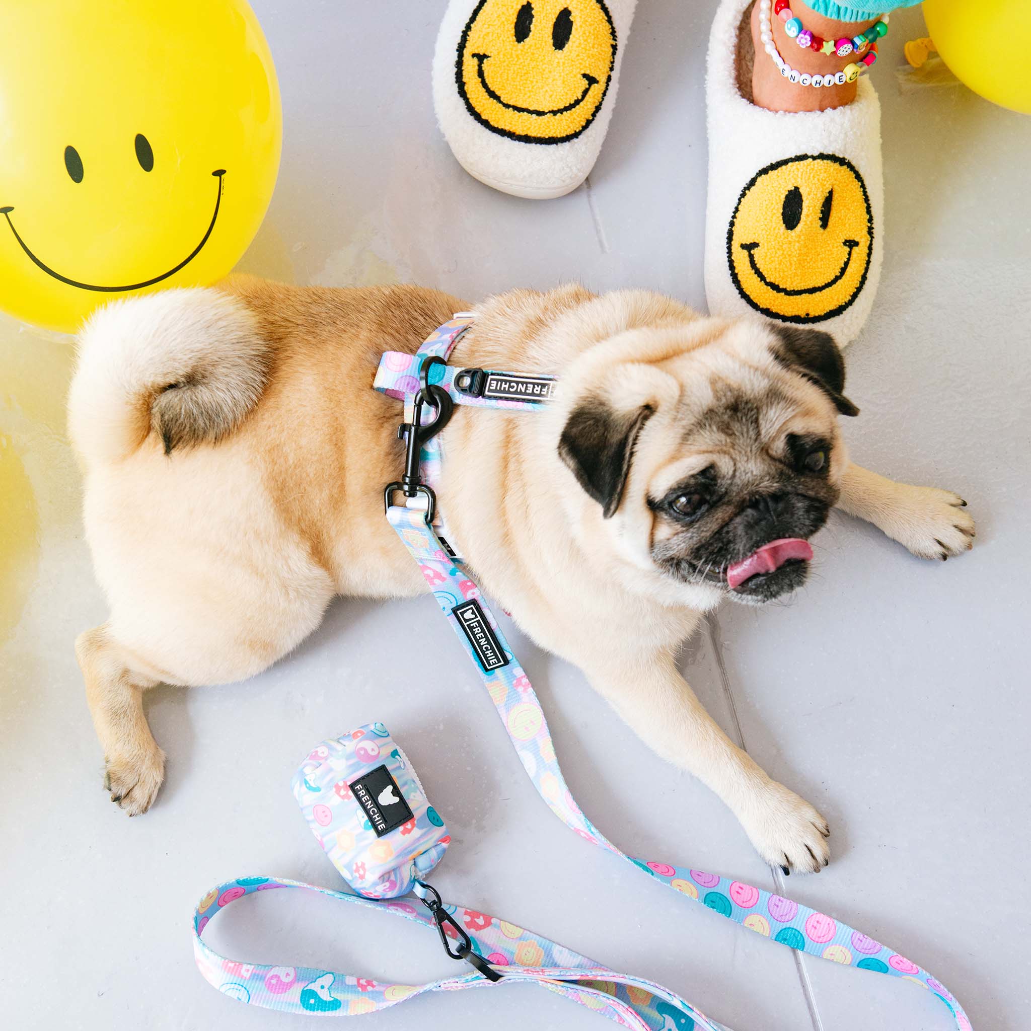 Frenchie - Frenchie Strap Harness - Good Vibes: OS