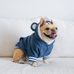 Frenchie - Frenchie Dog Hoodie - Blue Teddy: L