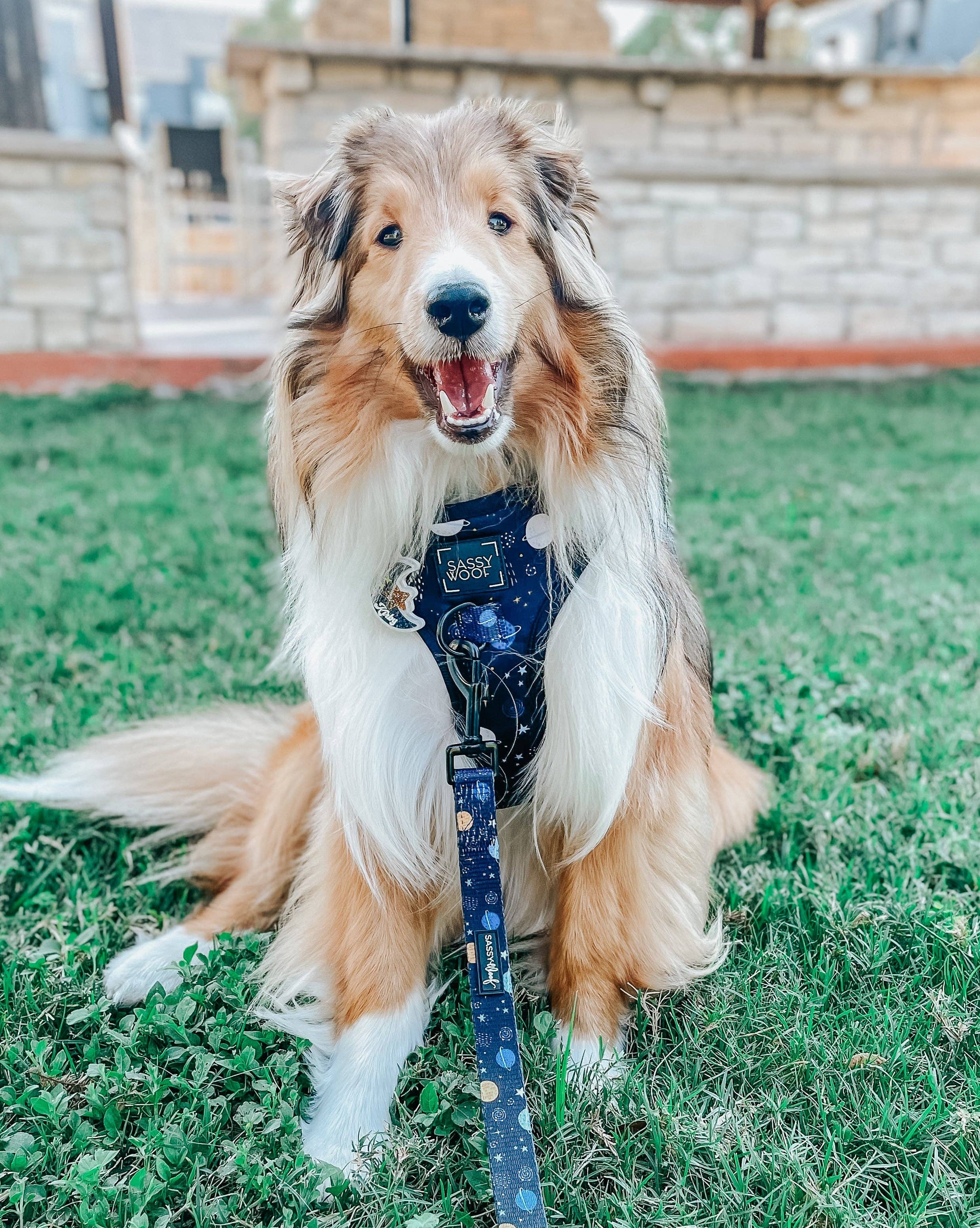 SASSY WOOF - Dog Adjustable Harness - To the Stars and Beyond: XXSmall