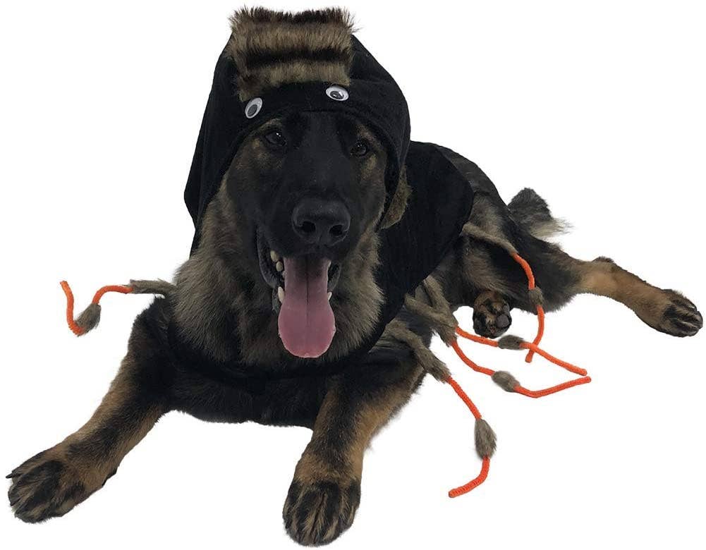 Midlee Designs - Midlee Scary Spider Dog Costume: Small