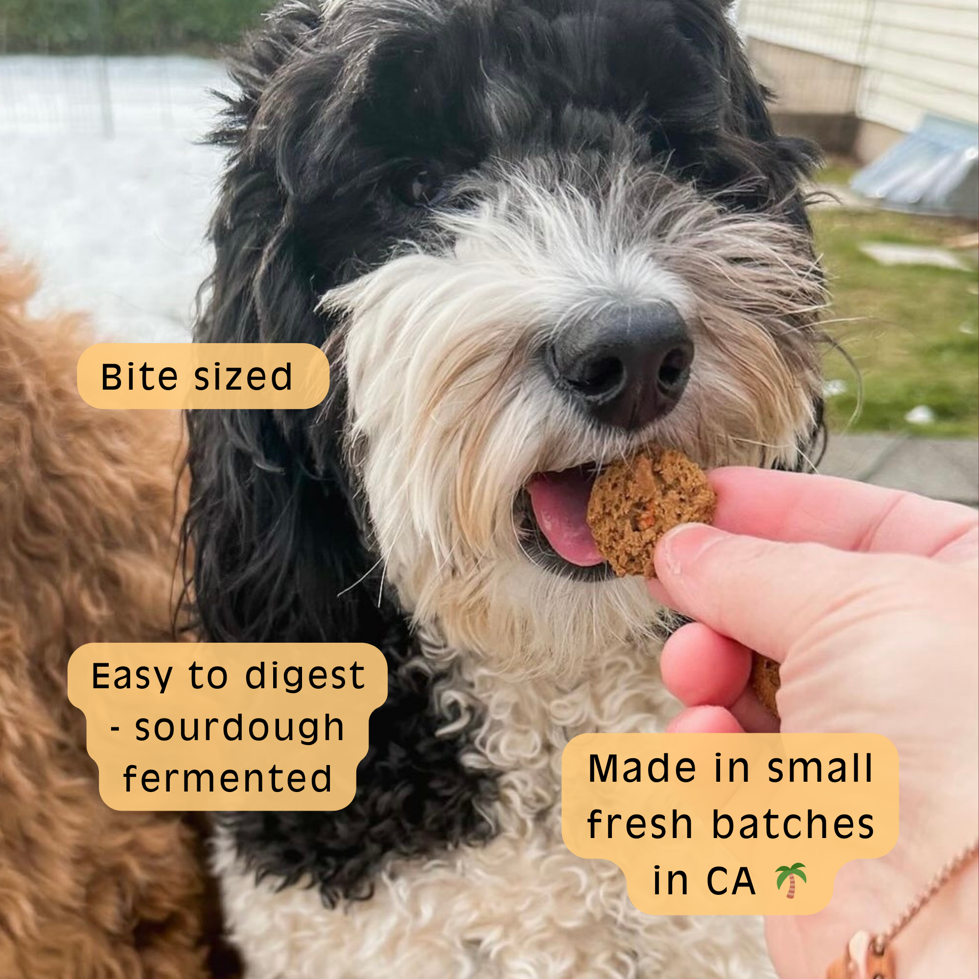 SourDog - Crunch Munch - Apple & Carrot Sourdough Dog Treats