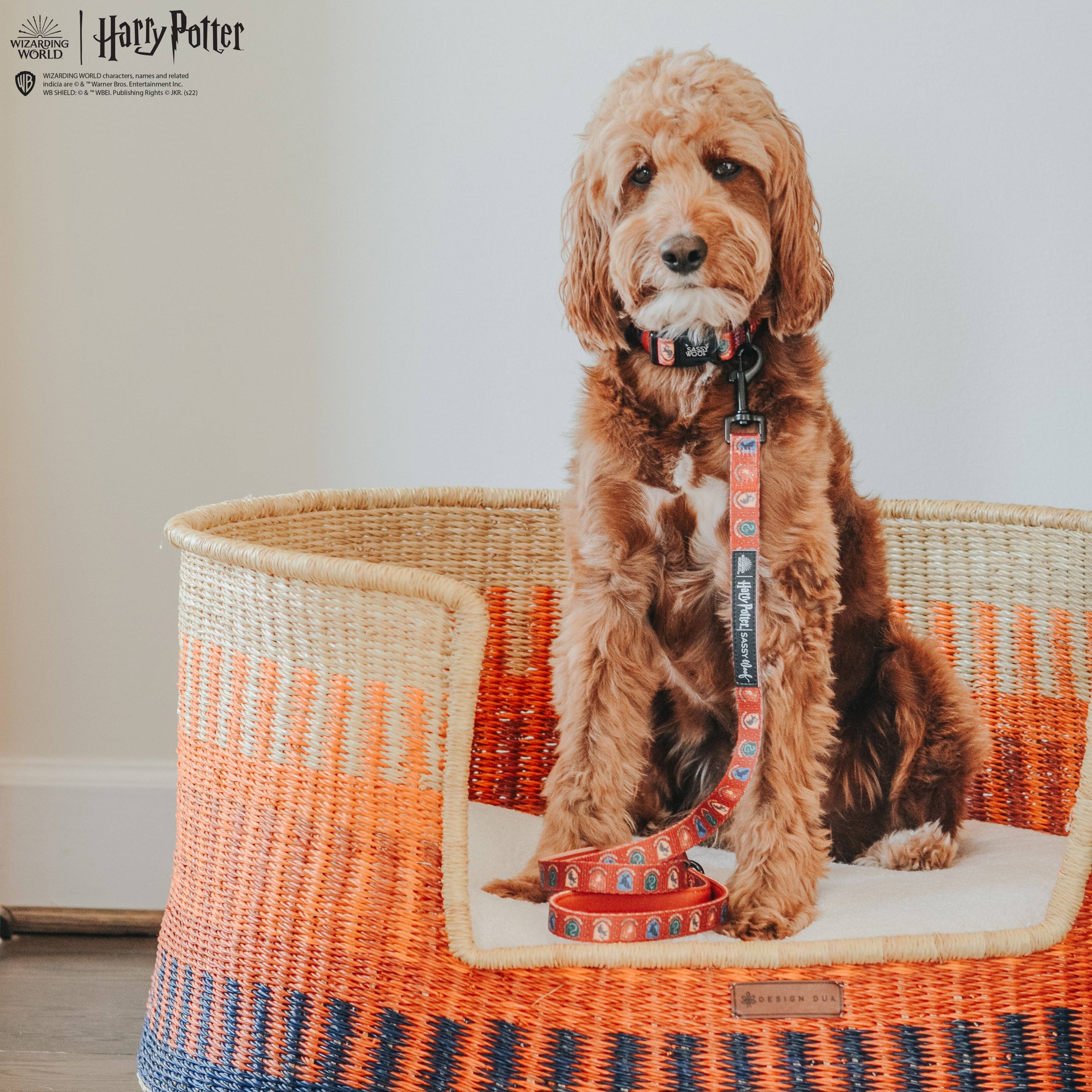 SASSY WOOF - Dog Leash - Harry Potter™