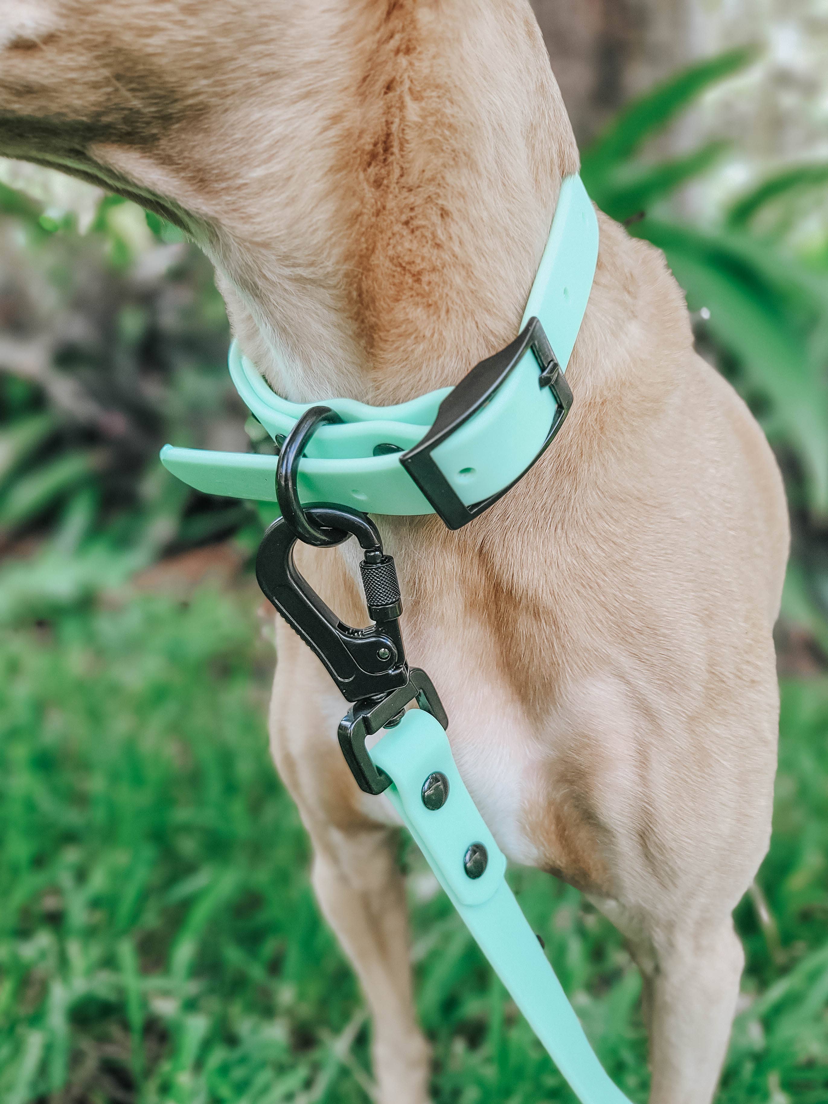 SASSY WOOF - Waterproof Dog Leash - Green