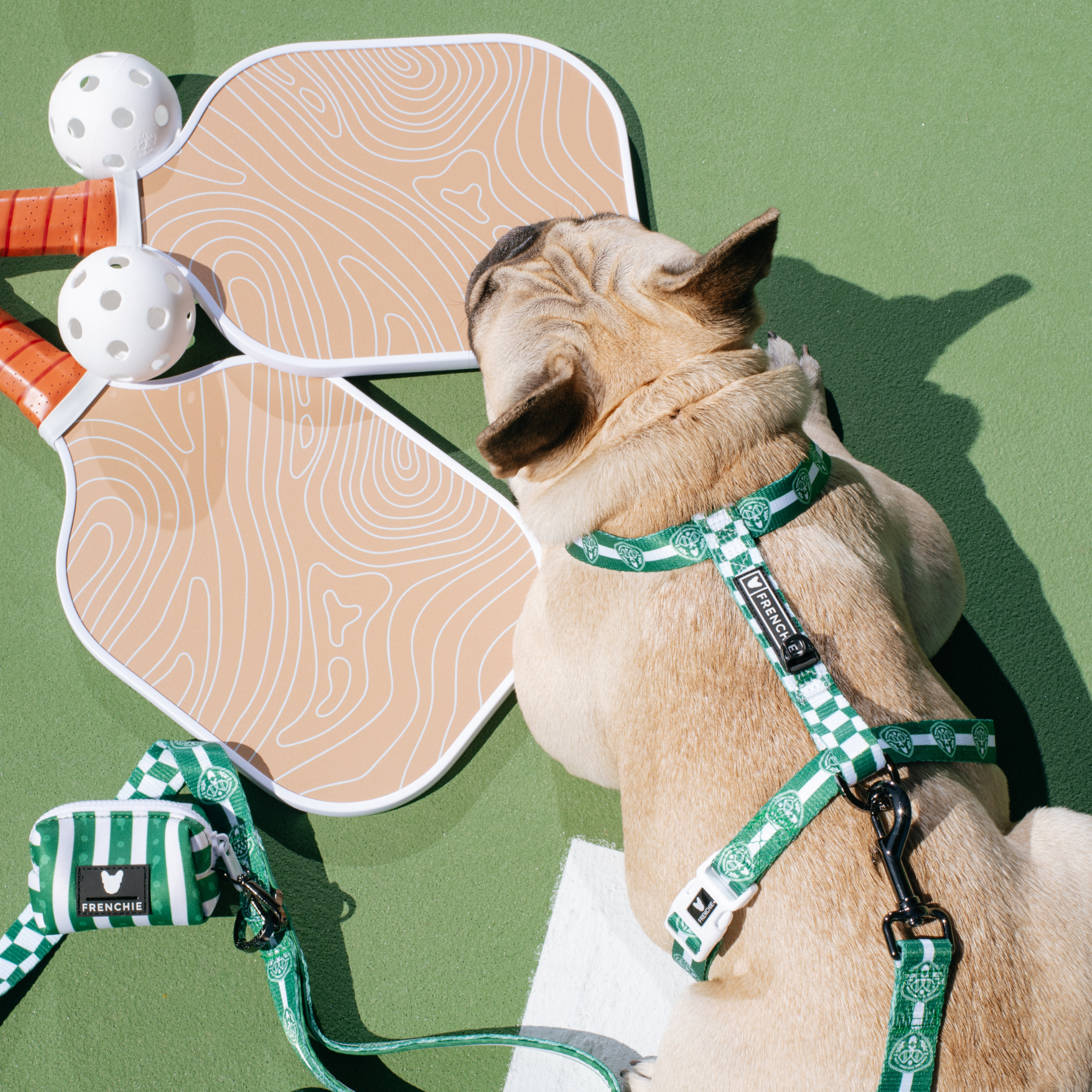 Frenchie - Frenchie Strap Harness - Pickleball: OS