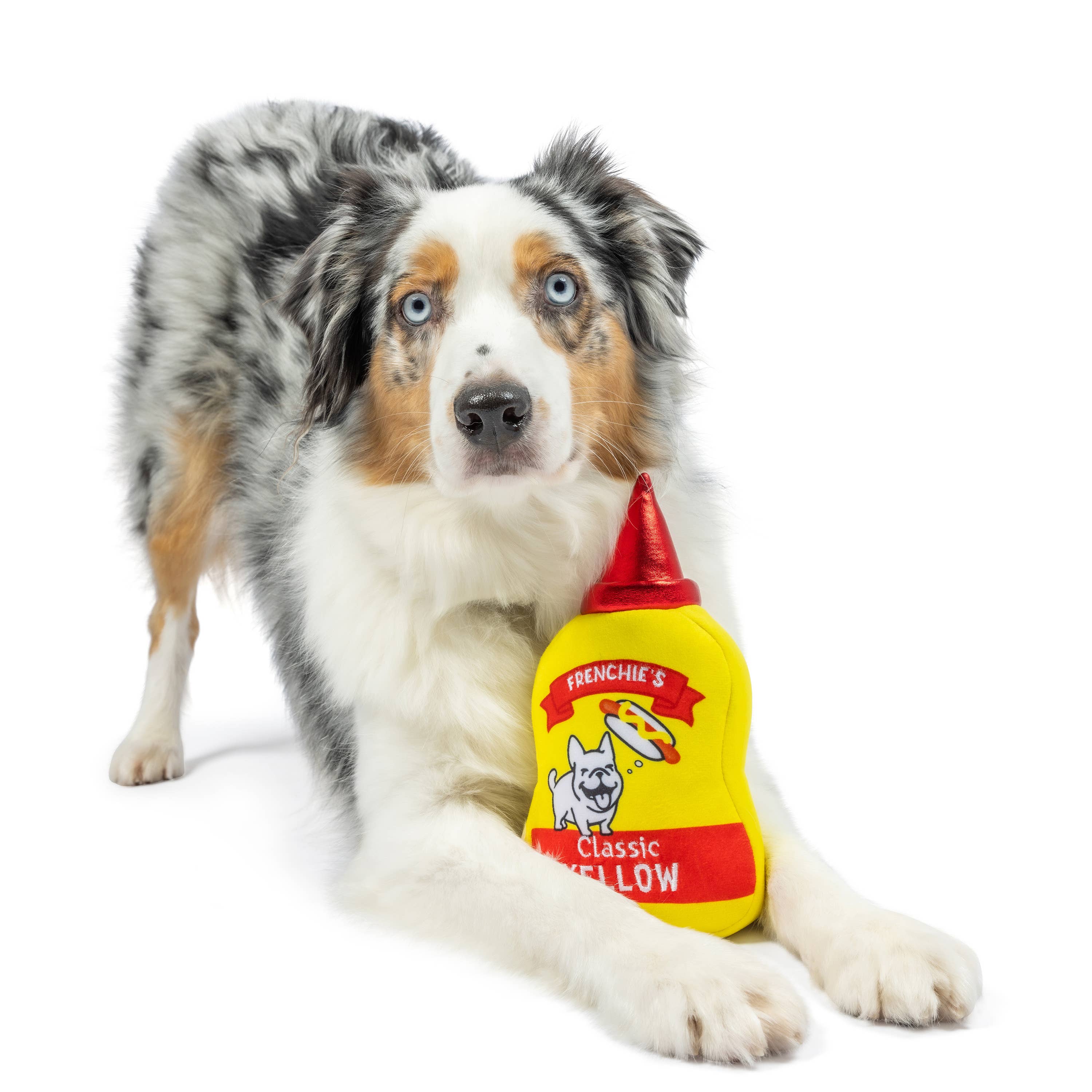 Huxley & Kent - Frenchie's Muttstard (Double Sided) For Dogs: Large