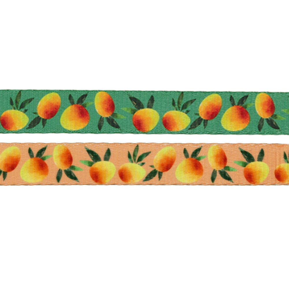 SASSY WOOF - Dog Leash  - Mango Tango