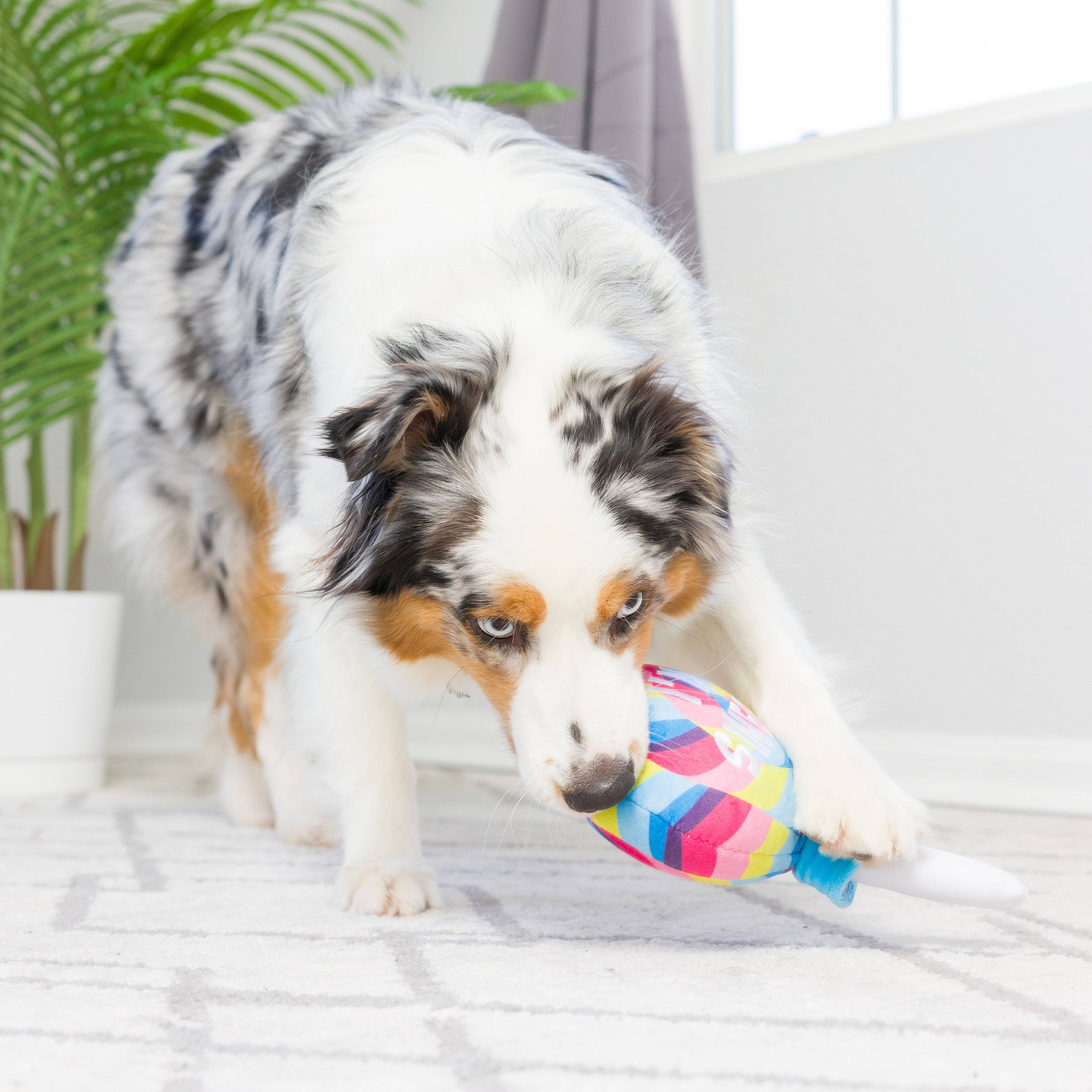 Huxley & Kent - I'm Sweet Lollipop Dog Toy: Small
