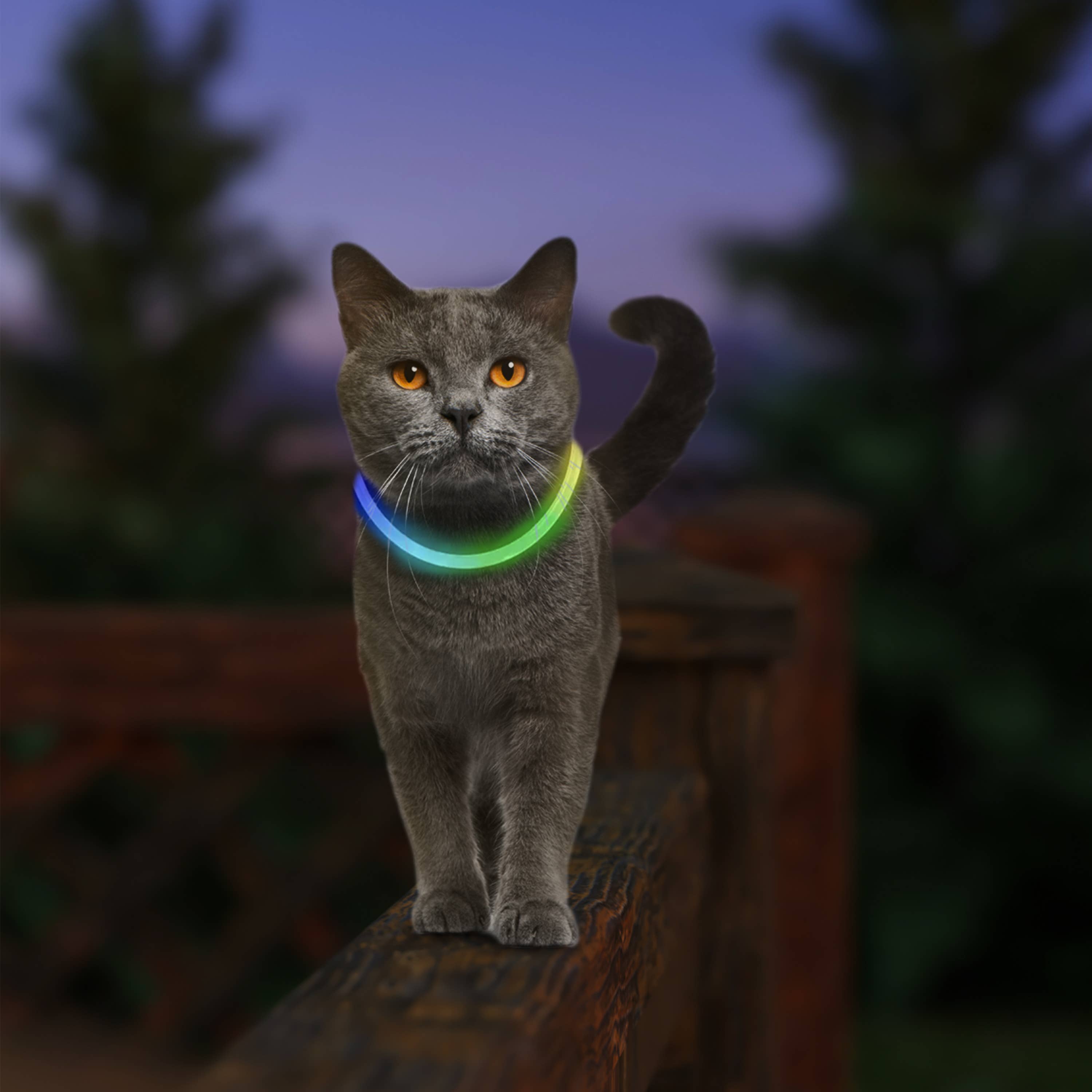 Pet Palette Distribution - Nite Ize NiteMeow Rechargeable LED Safety Necklace Disc-O