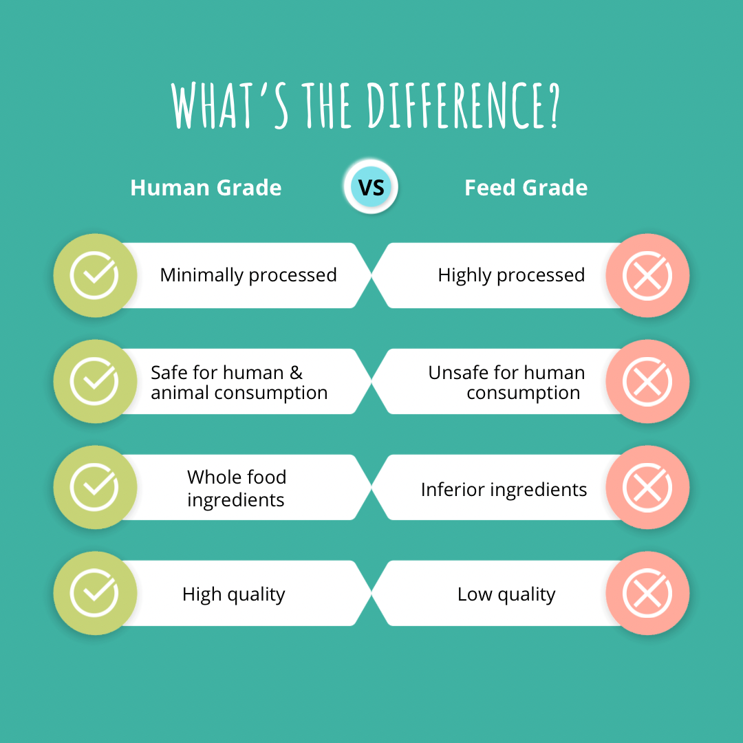 Just Natural Paws Peanut Butter & Pumpkin Trainers