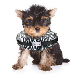 Comfurt Collar - Zebra - Pet Recovery Collar: M