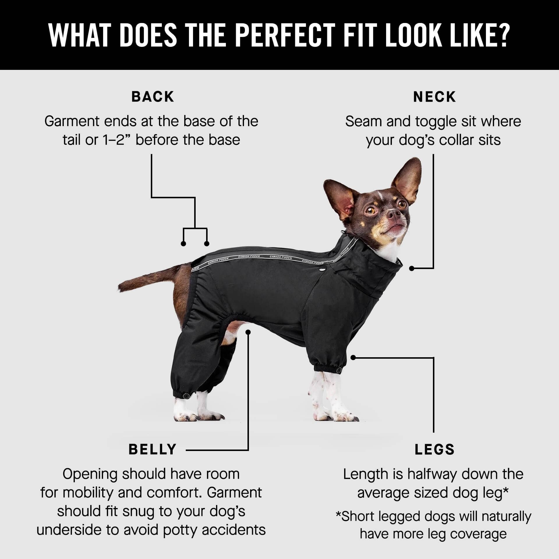Canada Pooch - The Snow Suit- Dog Suit: Black / 20