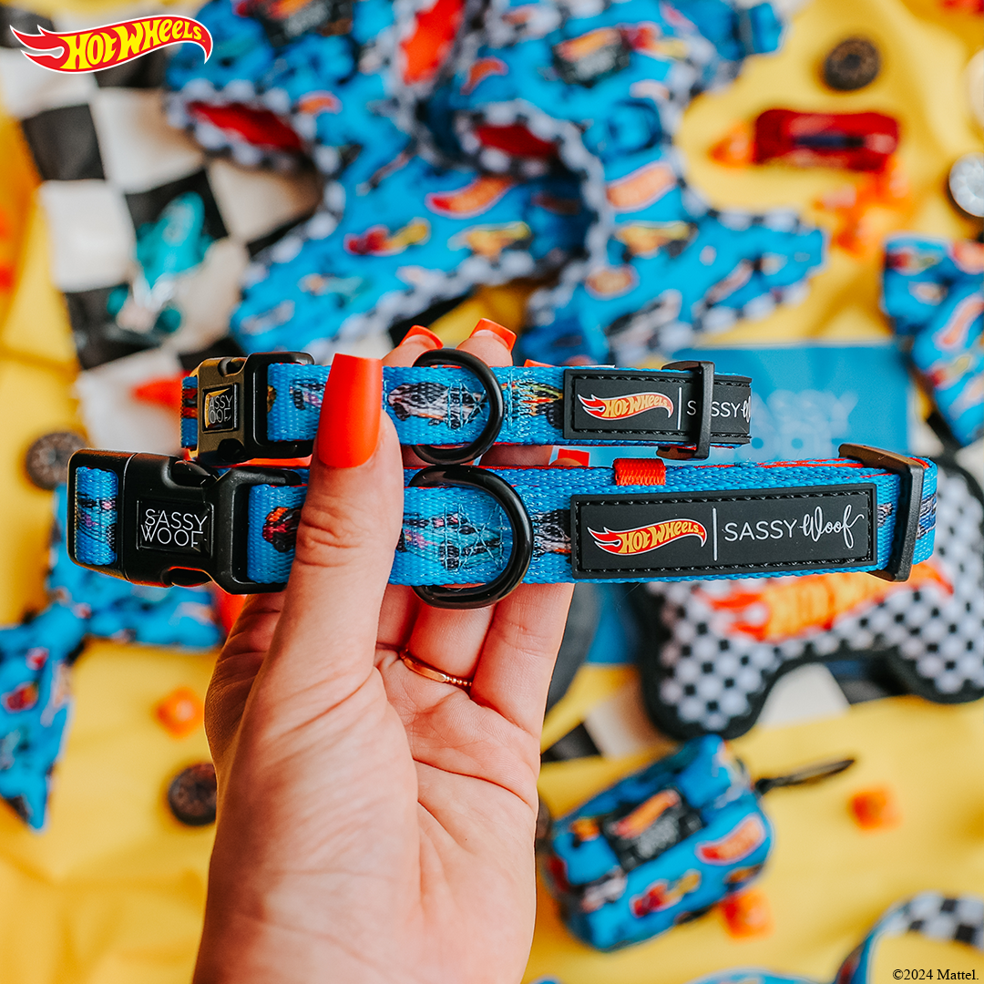 SASSY WOOF - Dog Collar - Hot Wheels™: XSmall