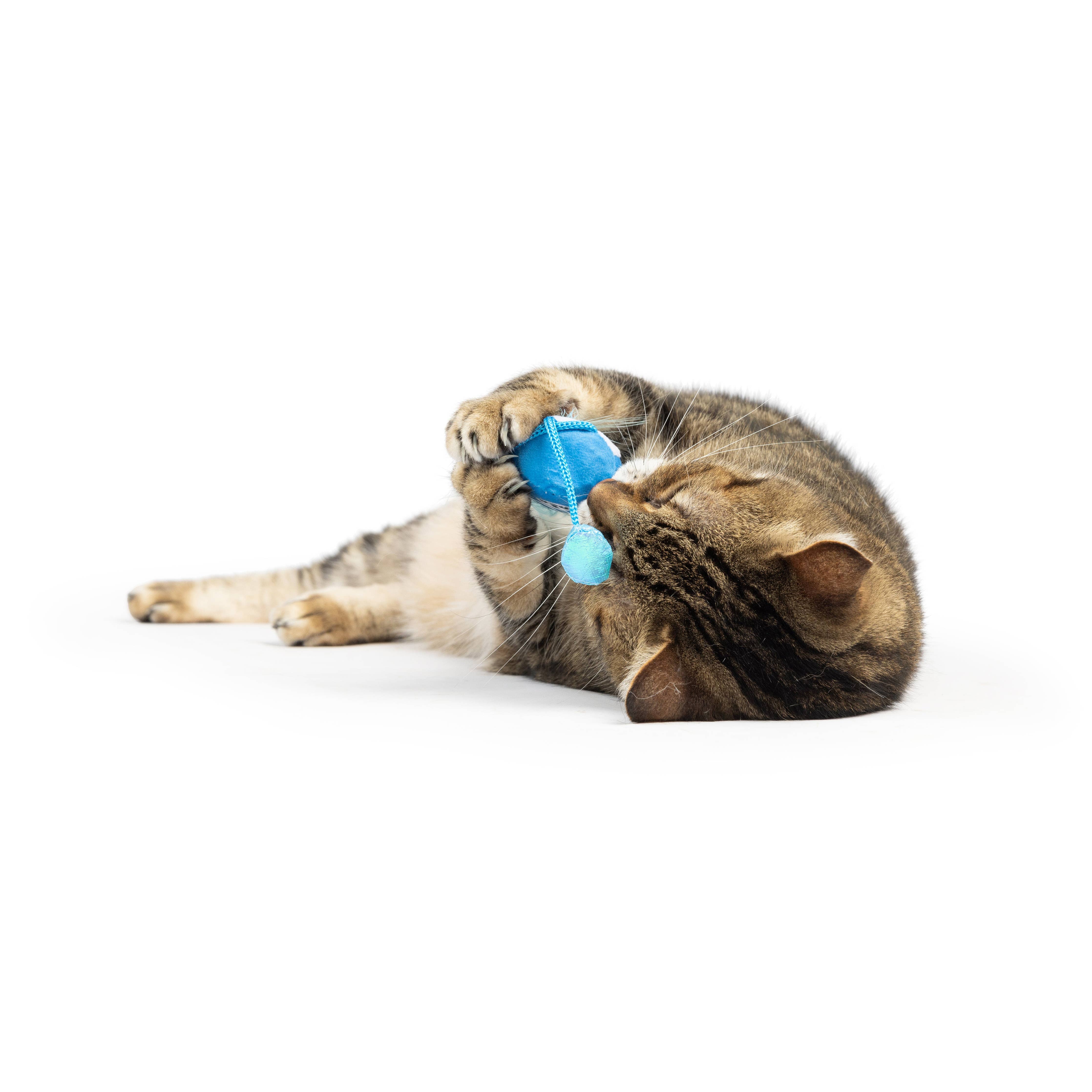 Huxley & Kent - Bluebird Chirpy Cat Toy: One Size