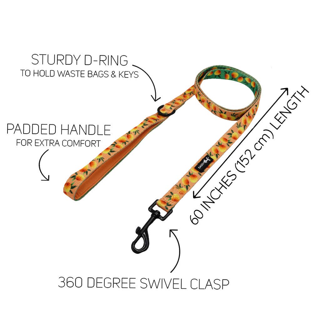 SASSY WOOF - Dog Leash  - Mango Tango
