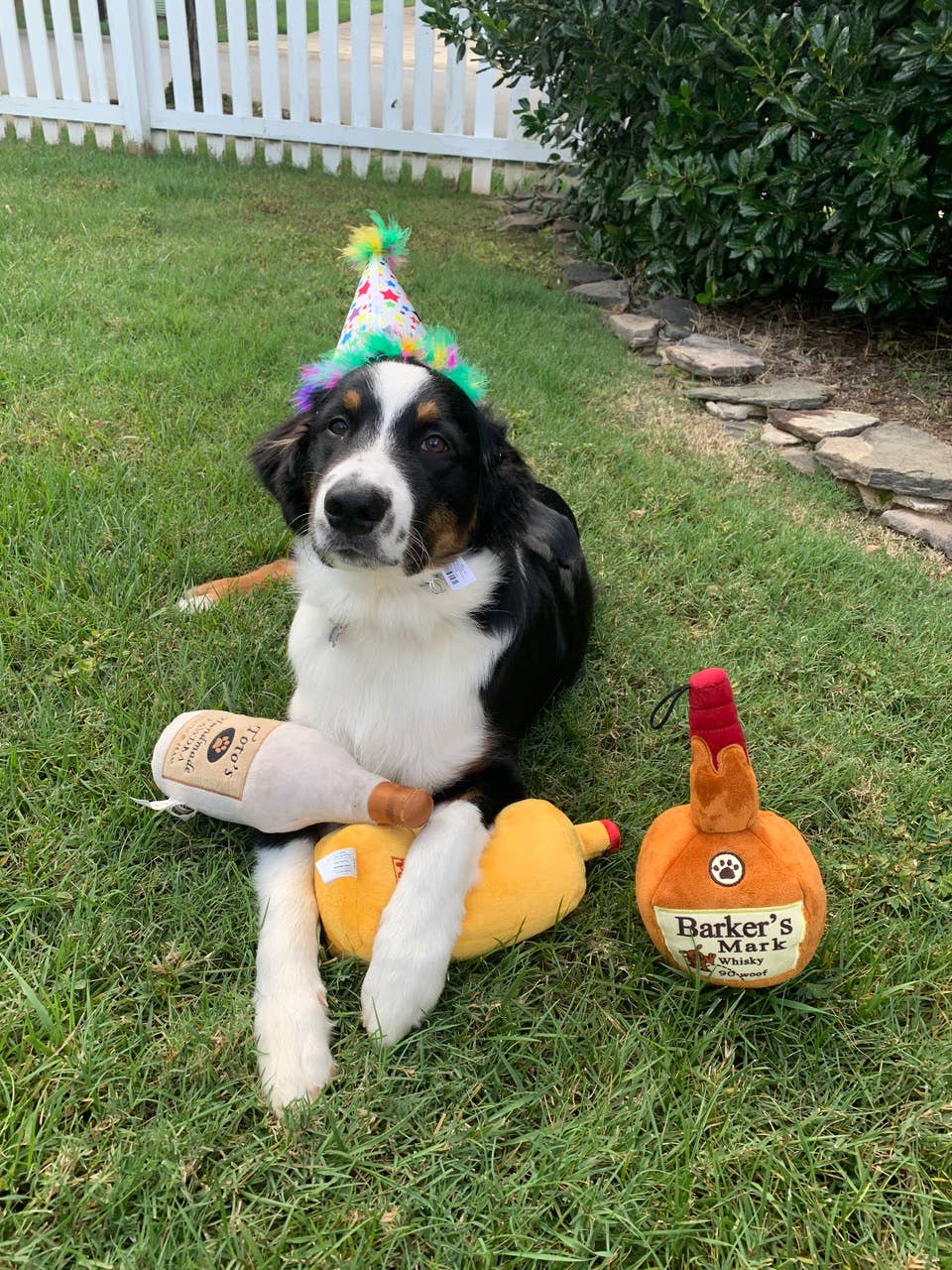 Huxley & Kent - Barkers Mark Dog Toy: Small