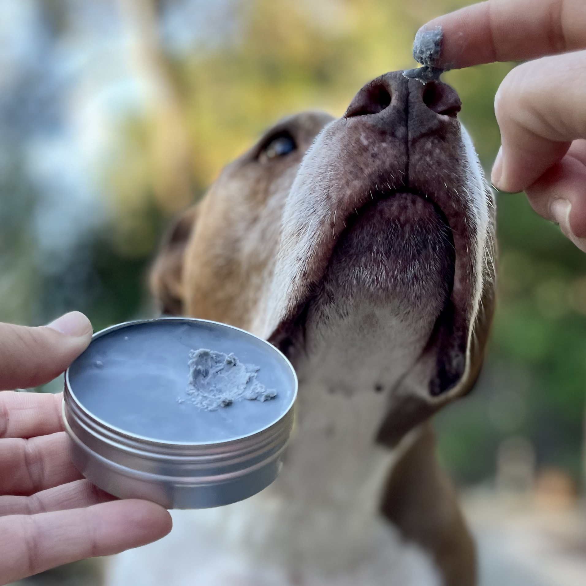 Balm Diggity Dog | Skin Therapy