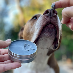 Balm Diggity Dog | Skin Therapy