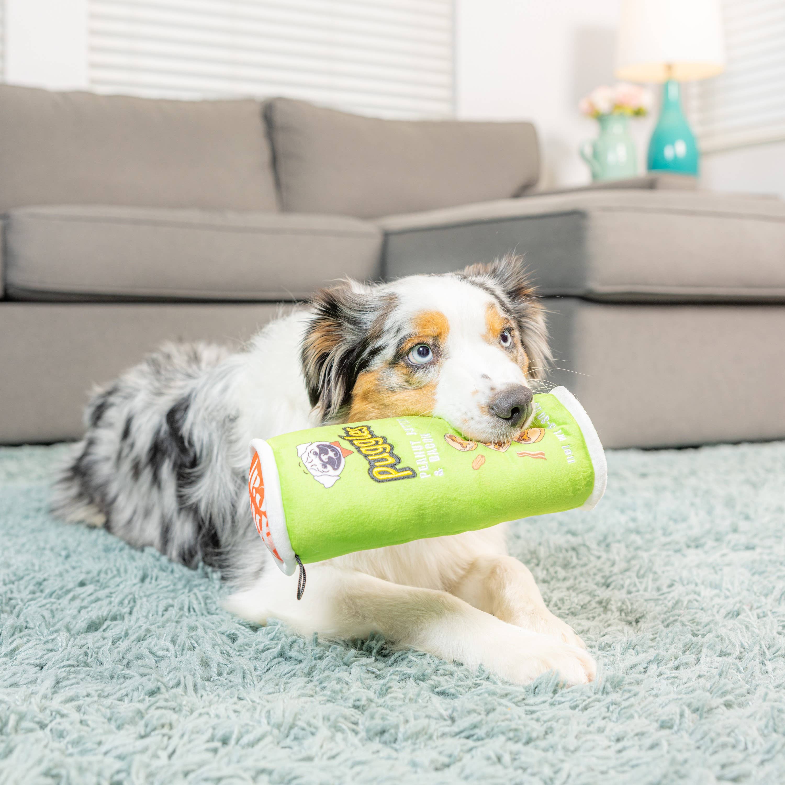 Huxley & Kent - Puggles Can For Dogs: Small