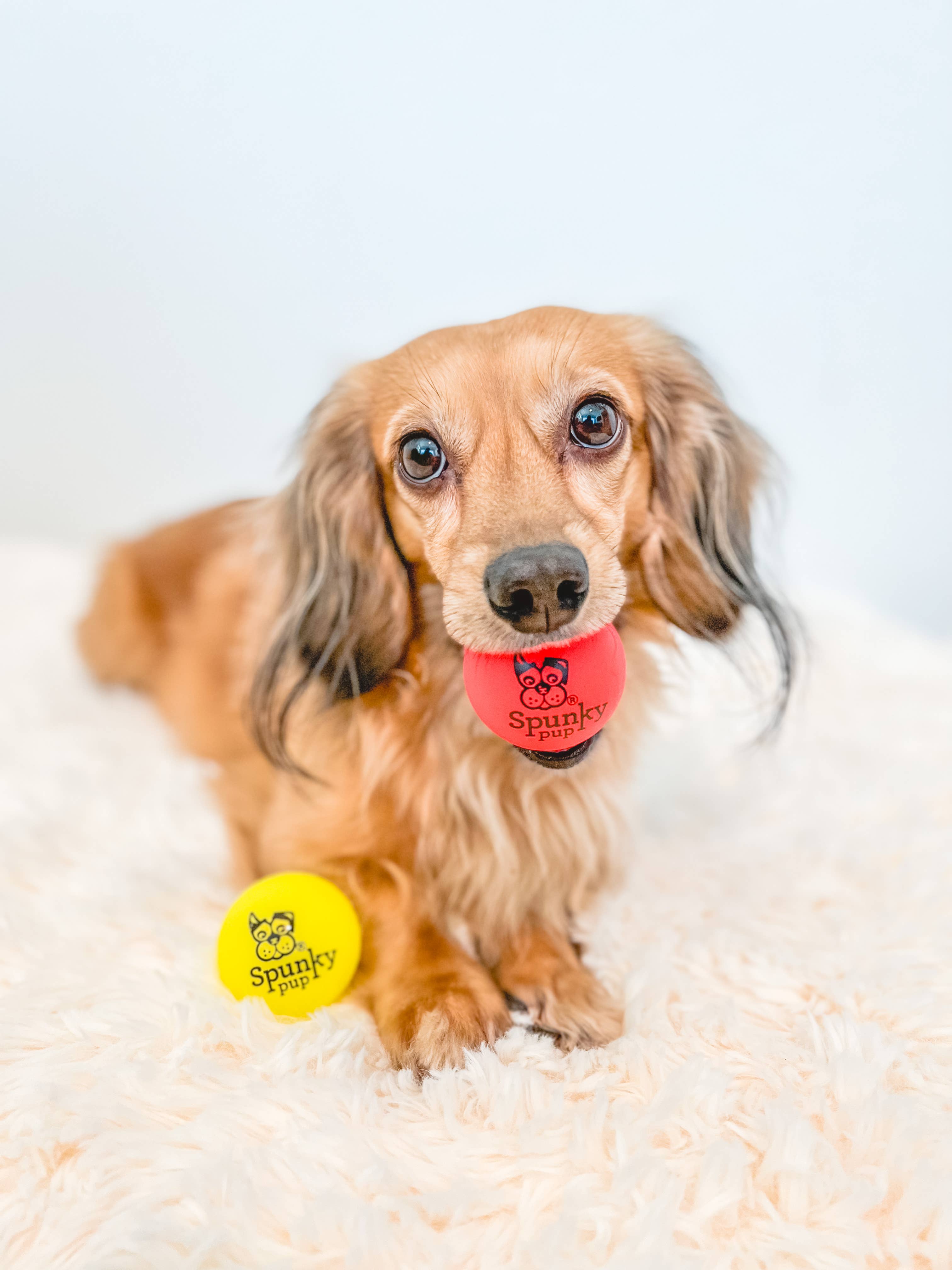Spunky Pup - Fetch and Glow Ball: Medium