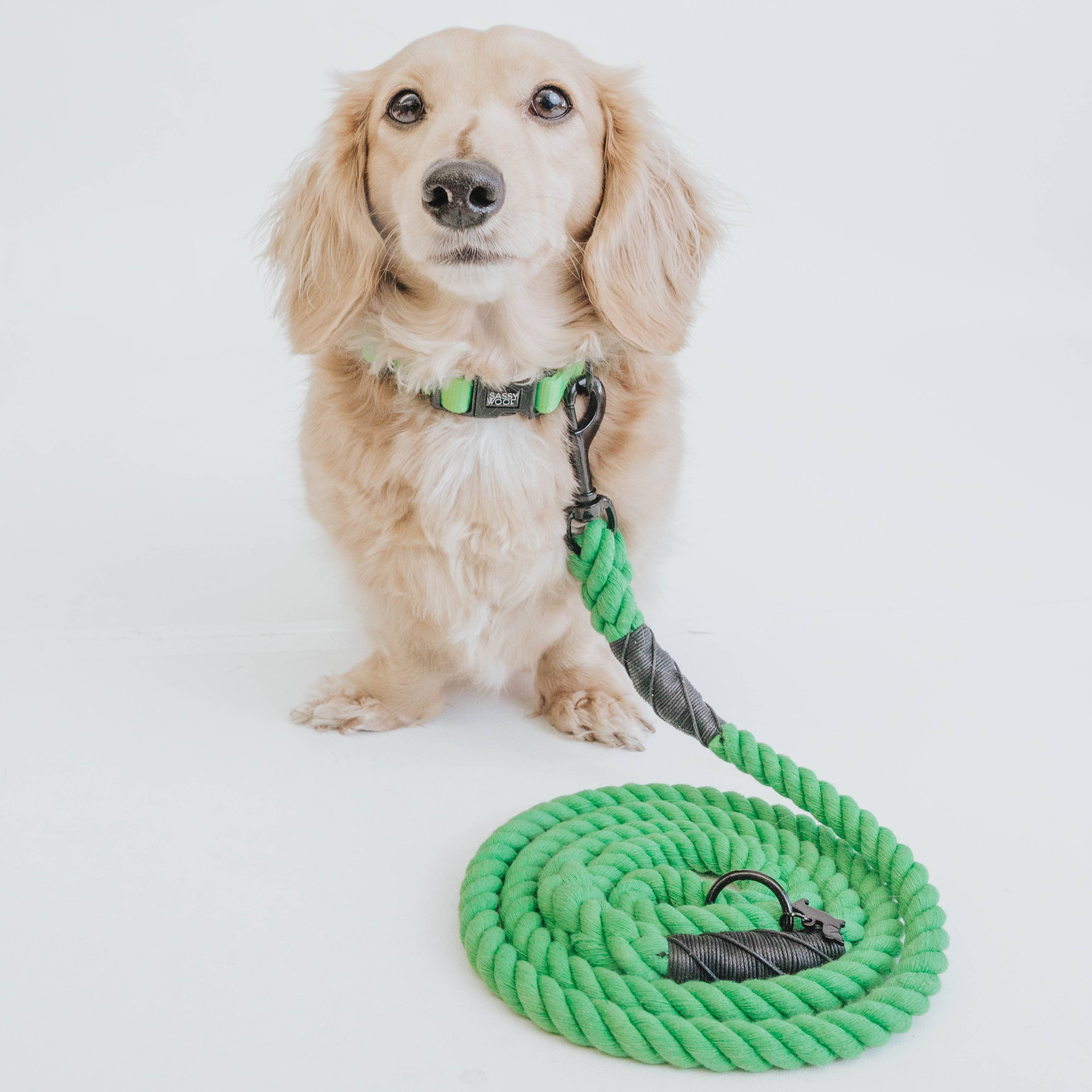 SASSY WOOF - Dog Rope Leash - Neon Green