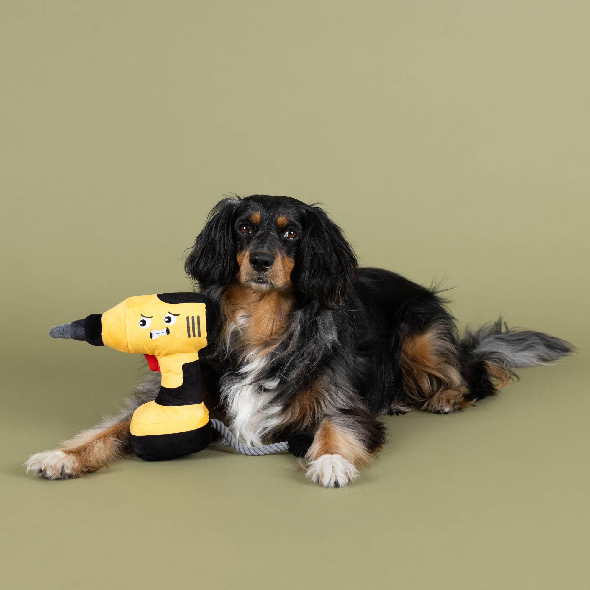 Wagsdale - POWER THROUGH PLUSH DOG TOY