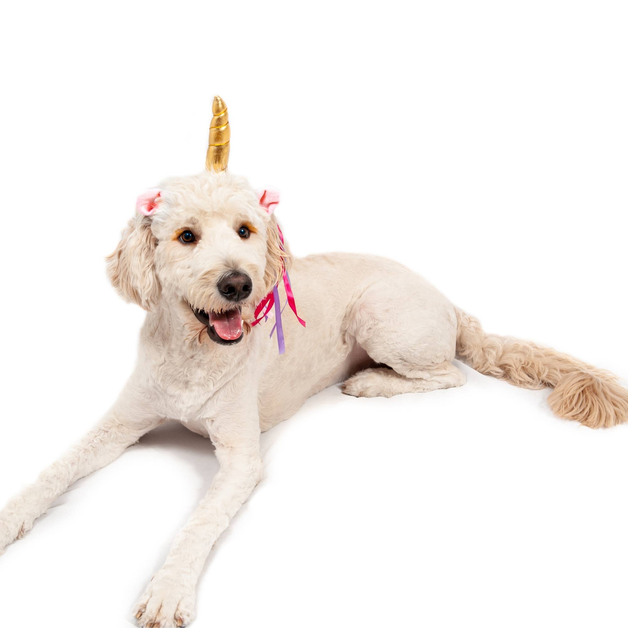 Midlee Designs - Midlee Dog Unicorn Headband Halloween Costume
