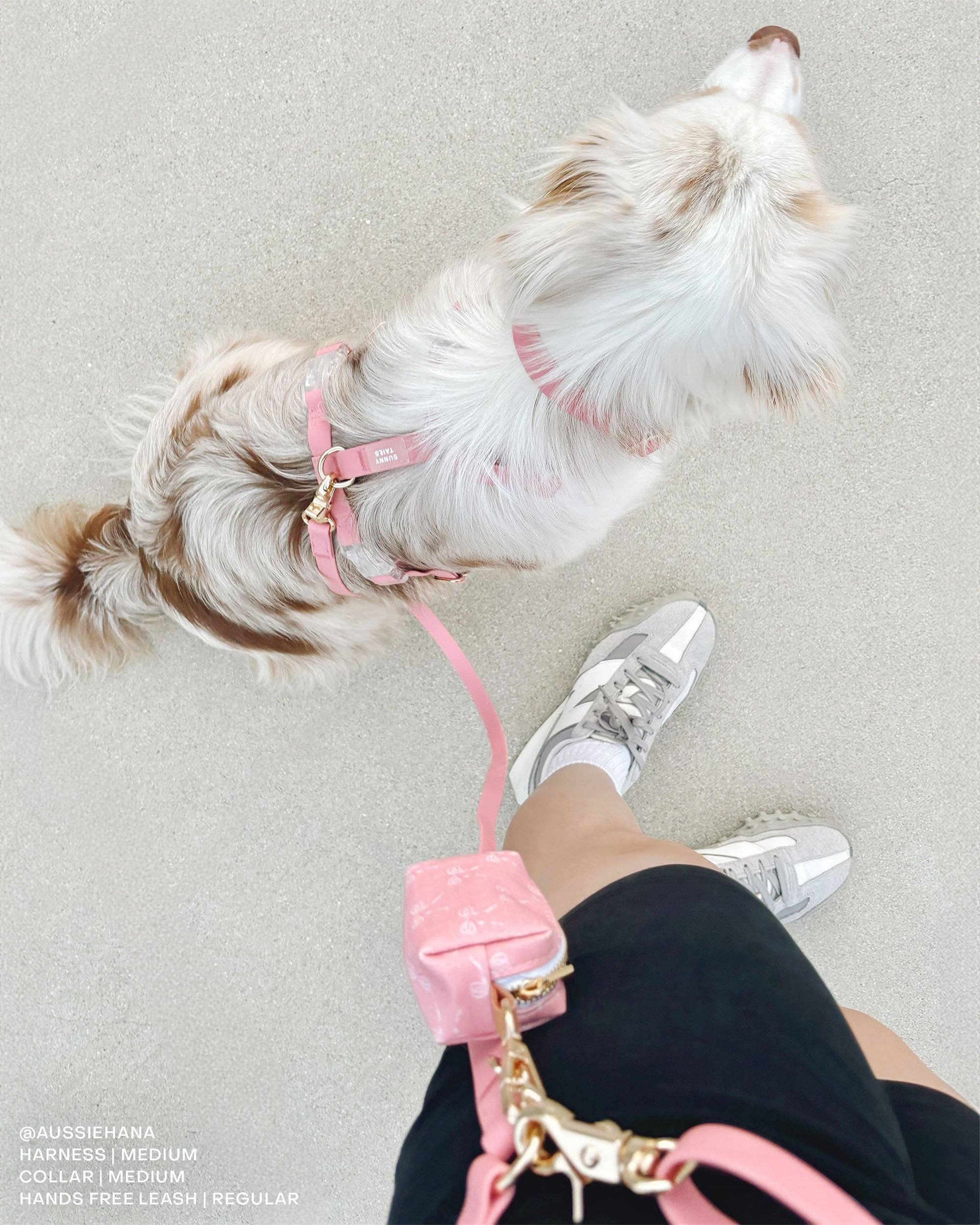 SUNNY TAILS - Perfect Pink 4-in-1 Convertible Hands Free Cloud Dog Leash: Standard